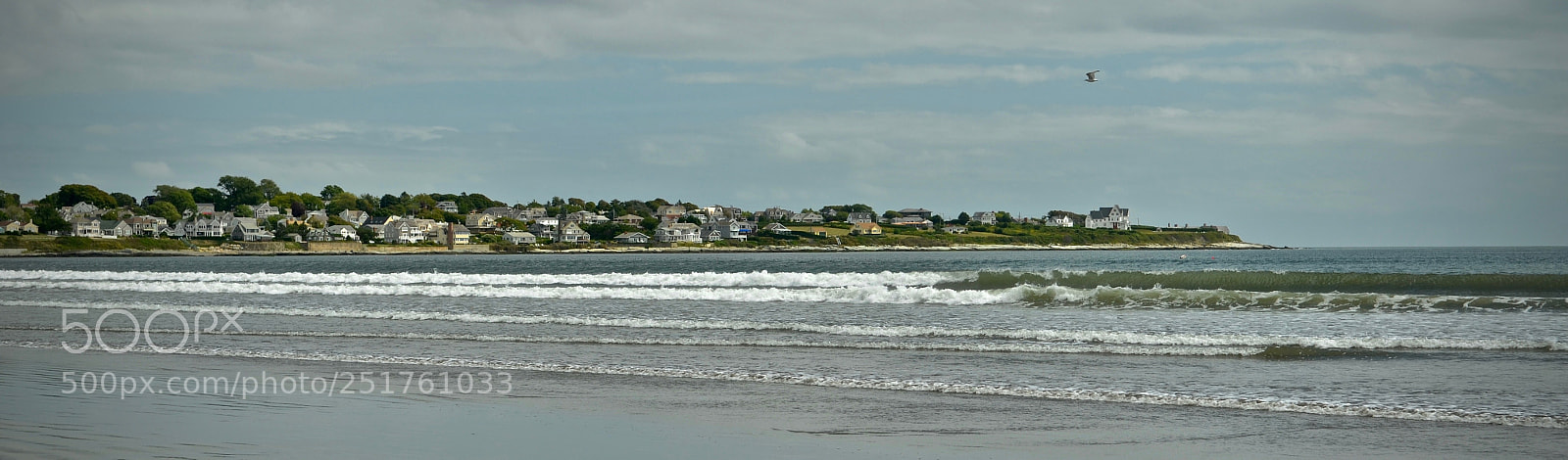 Nikon D7000 sample photo. Newport photography