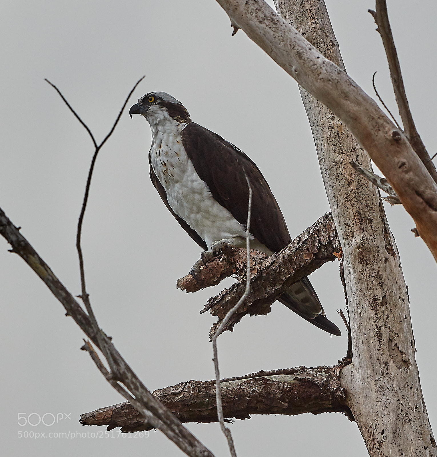 Canon EOS 5DS R sample photo. 04-01-18-0010284.jpg photography