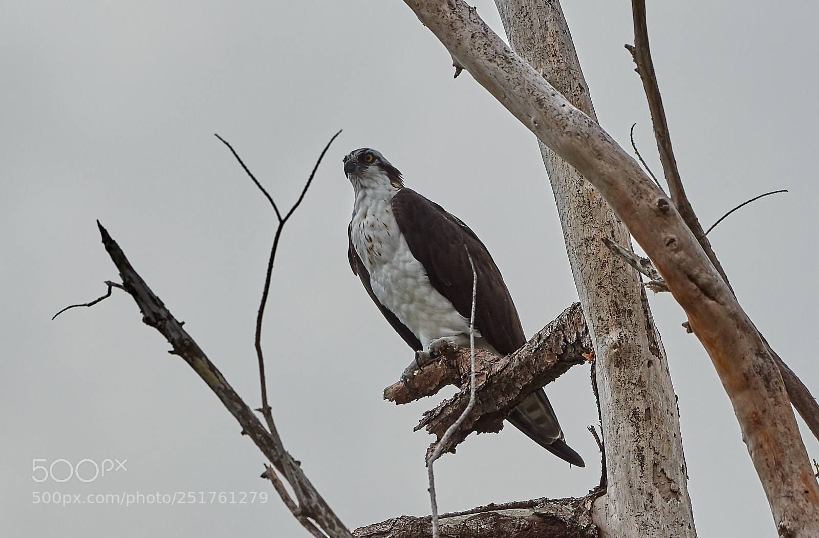Canon EOS 5DS R sample photo. 04-01-18-0010282.jpg photography