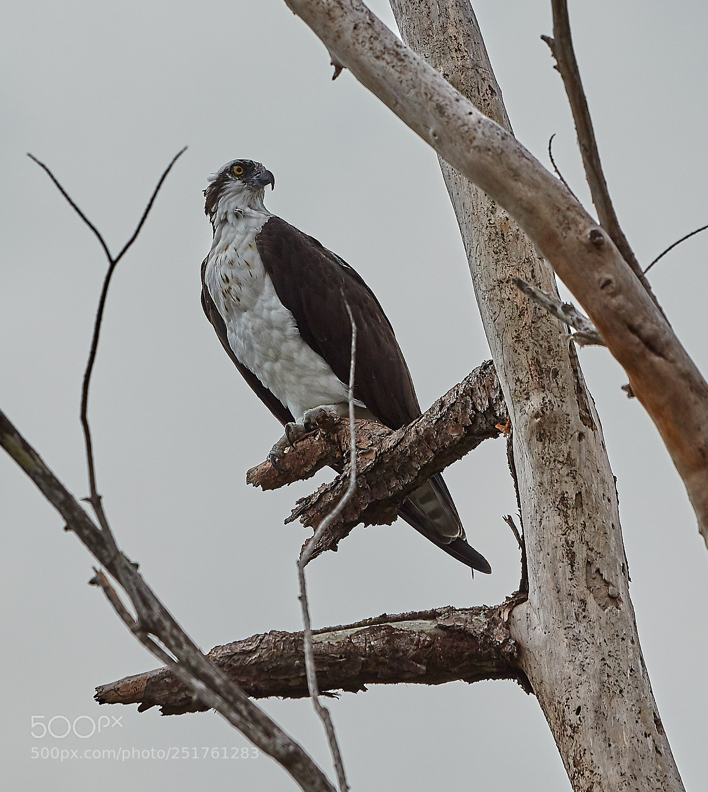 Canon EOS 5DS R sample photo. 04-01-18-0010280.jpg photography