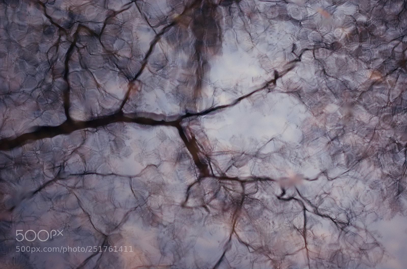 Nikon D50 sample photo. Migraine photography