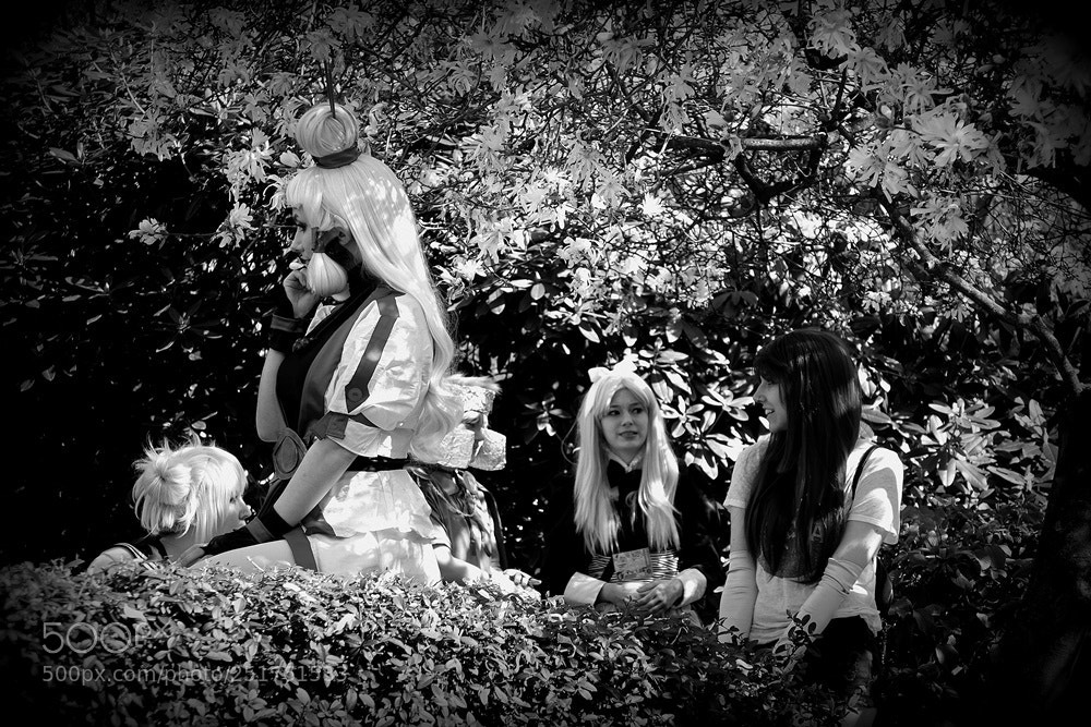 Sony Cyber-shot DSC-RX10 sample photo. Spring blossoms photography
