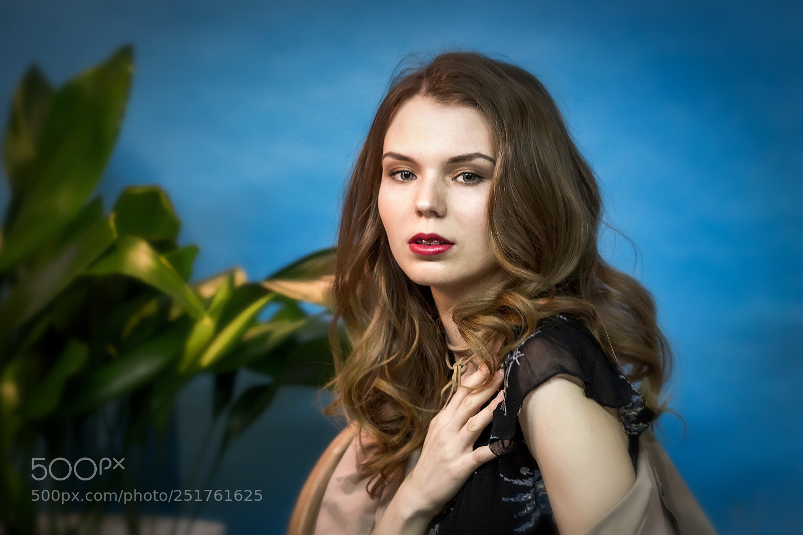 Canon EOS 6D Mark II sample photo. Img photography
