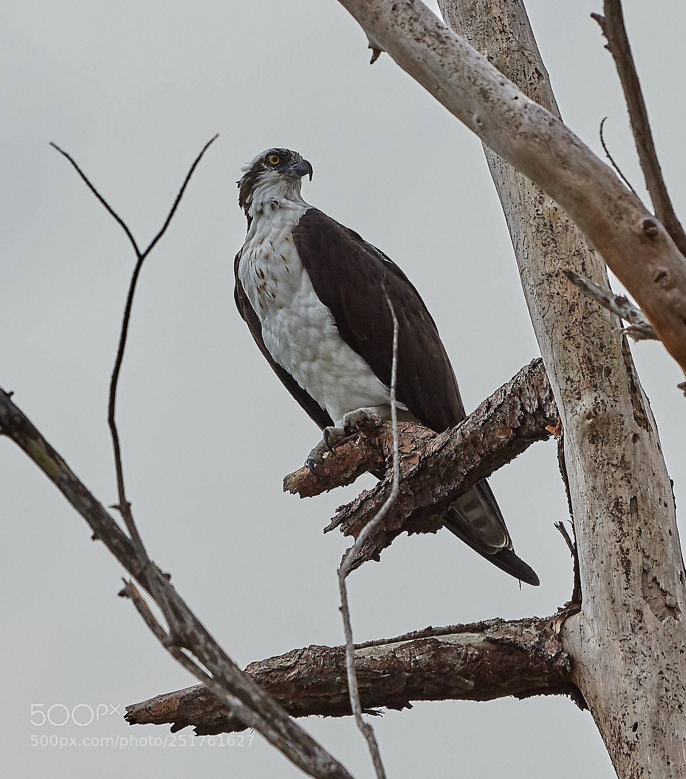 Canon EOS 5DS R sample photo. 04-01-18-0010279.jpg photography