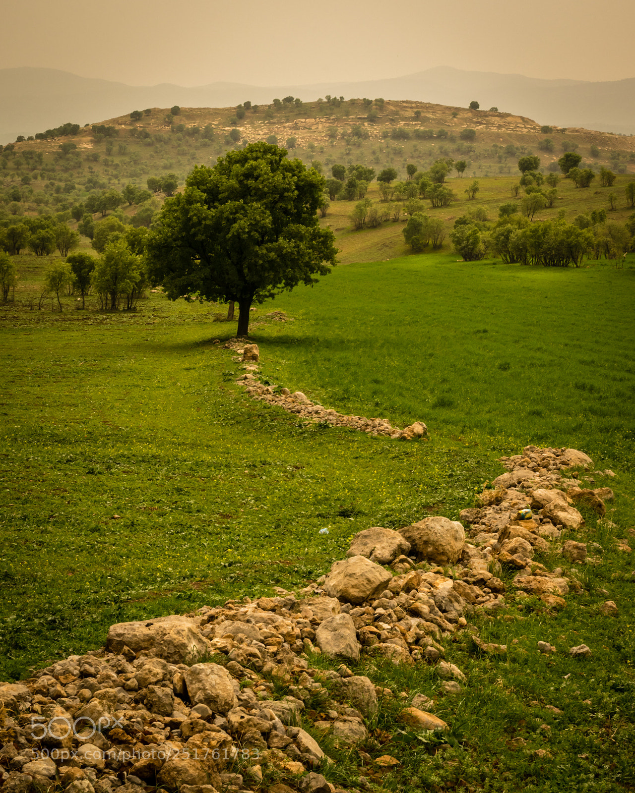 Nikon D3300 sample photo. Lonely photography