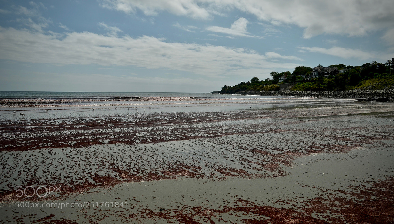 Nikon D7000 sample photo. Newport photography