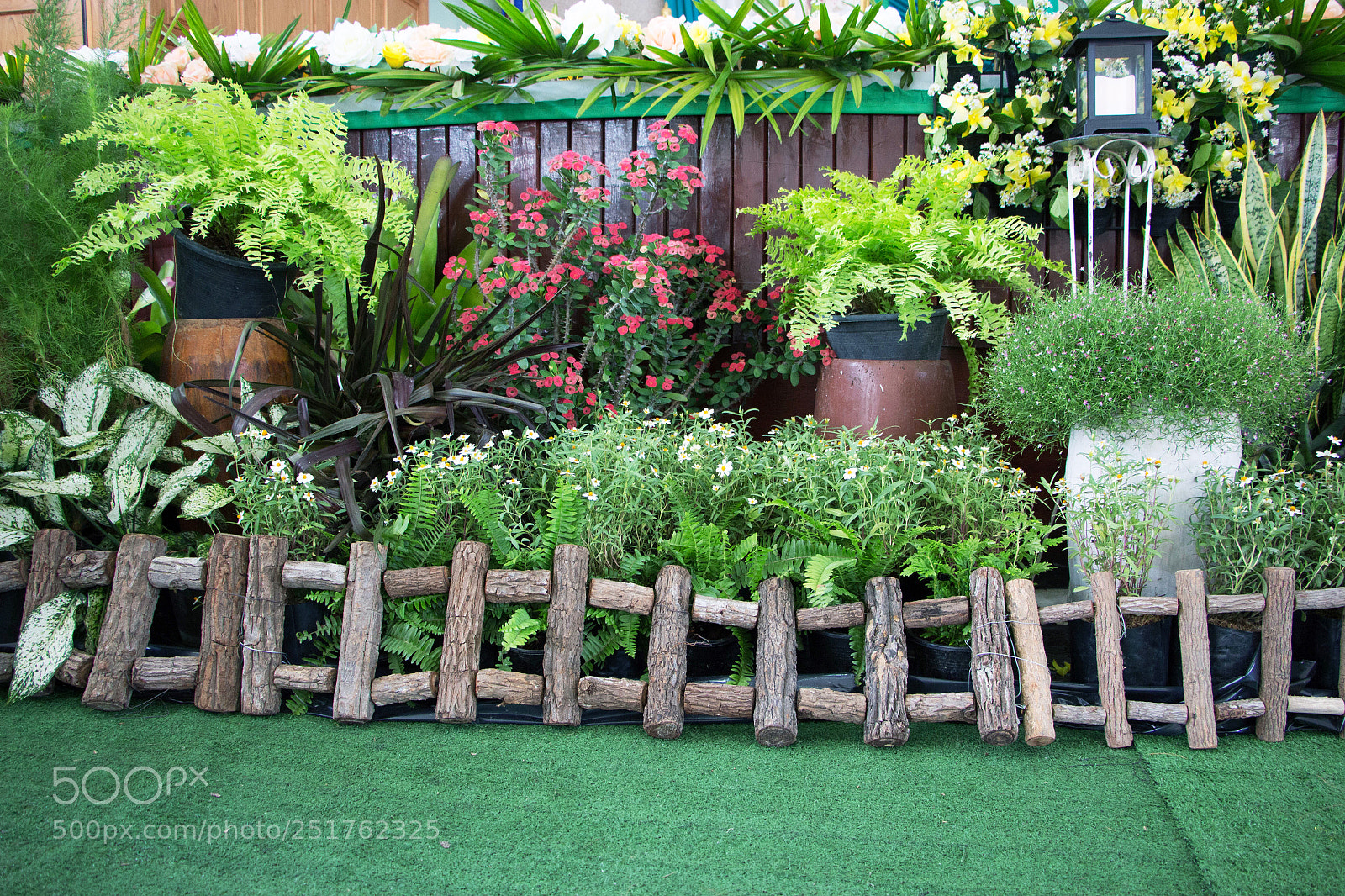 Canon EOS 700D (EOS Rebel T5i / EOS Kiss X7i) sample photo. Img photography