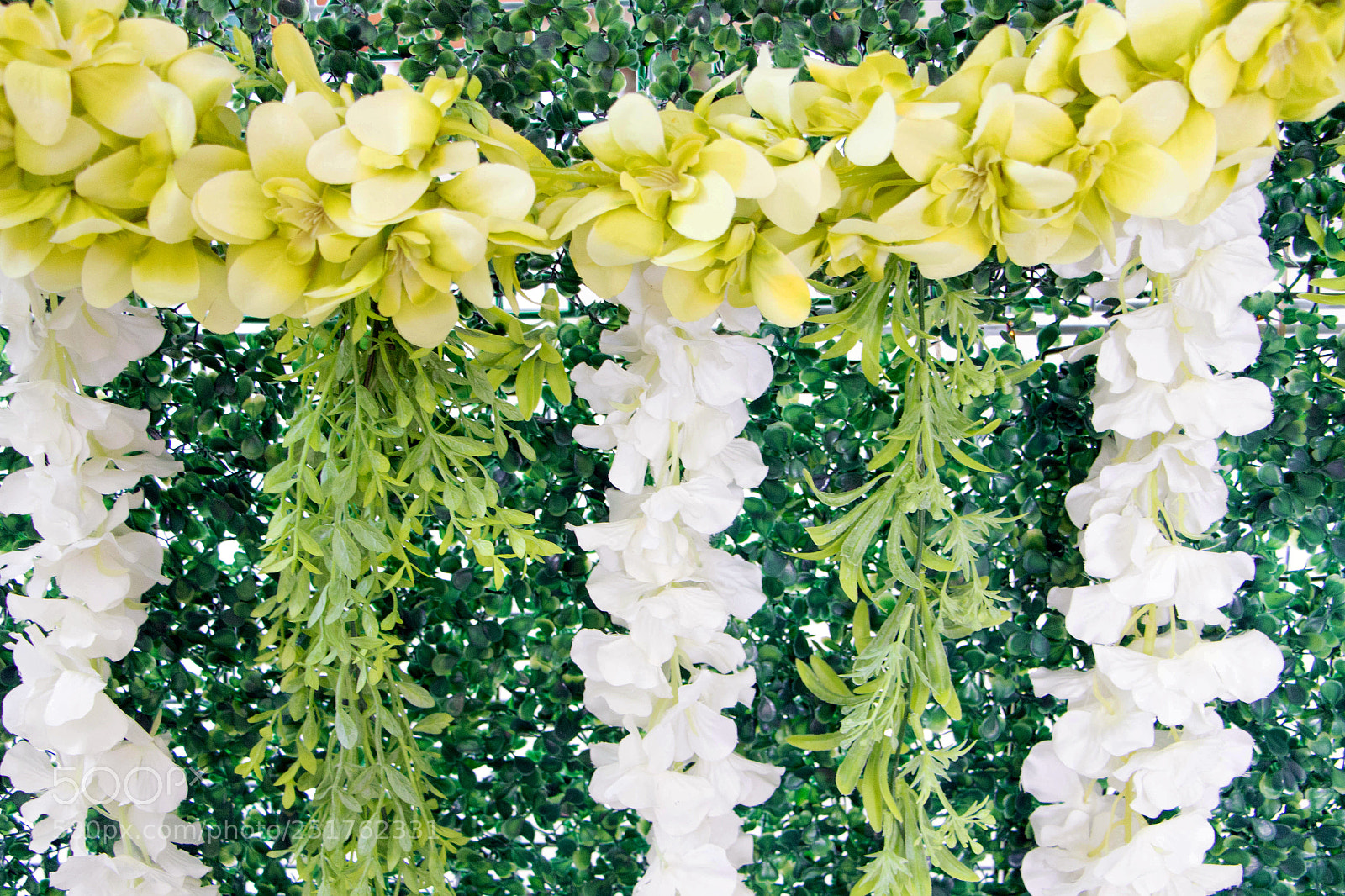 Canon EOS 700D (EOS Rebel T5i / EOS Kiss X7i) sample photo. The artificial grass wall photography