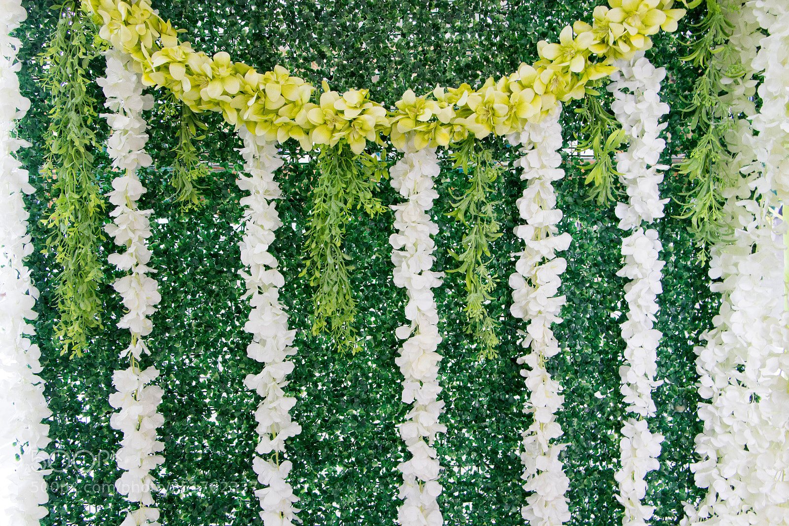 Canon EOS 700D (EOS Rebel T5i / EOS Kiss X7i) sample photo. The artificial grass wall photography