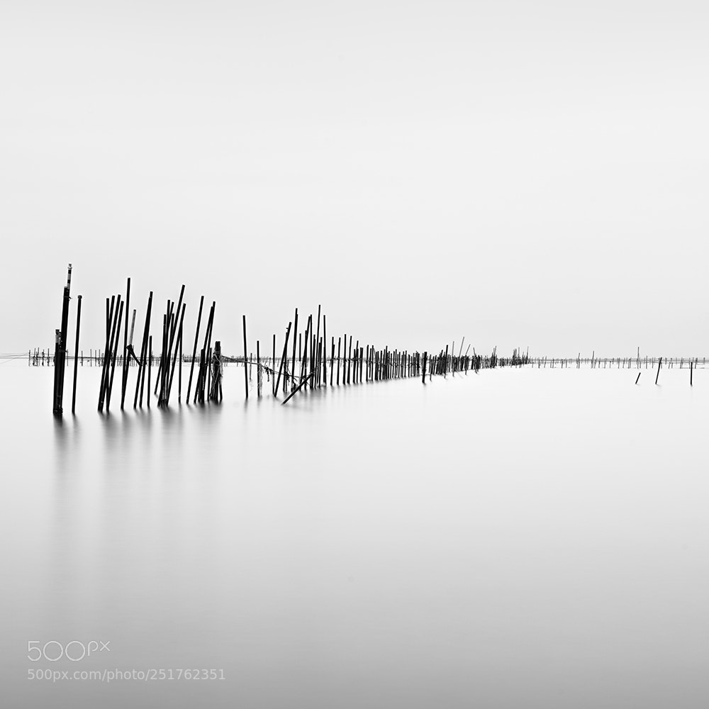 Nikon D810 sample photo. Fishing poles - lake photography