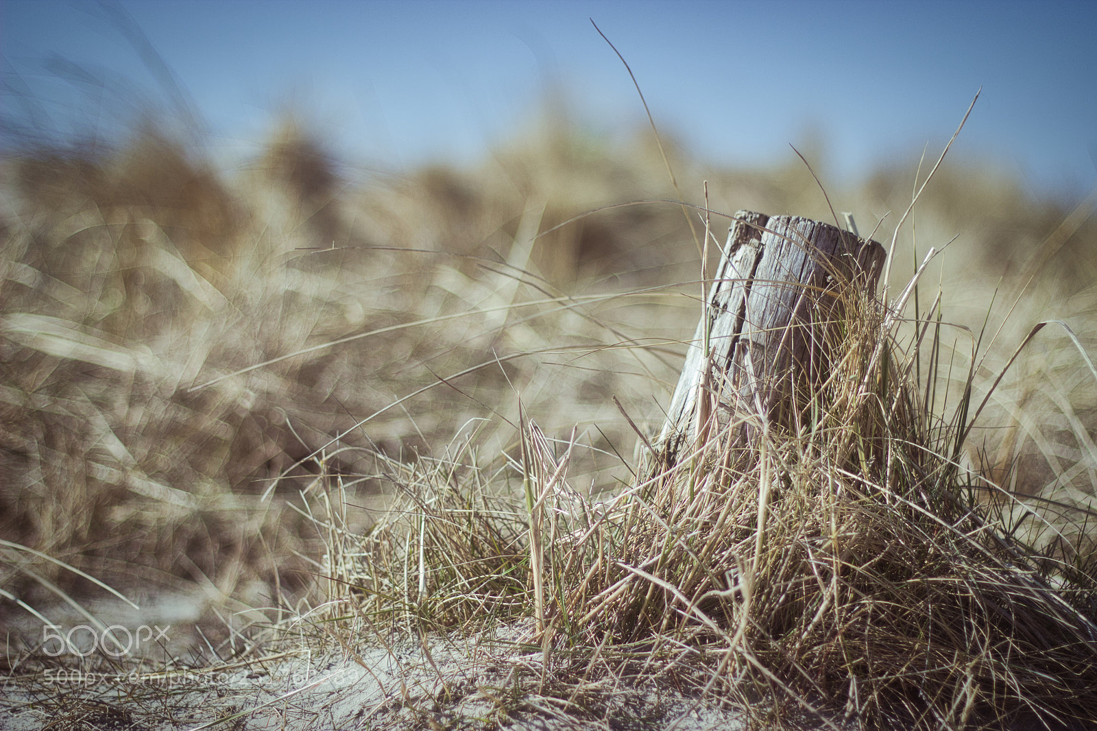 Canon EOS 600D (Rebel EOS T3i / EOS Kiss X5) sample photo. By the sea photography