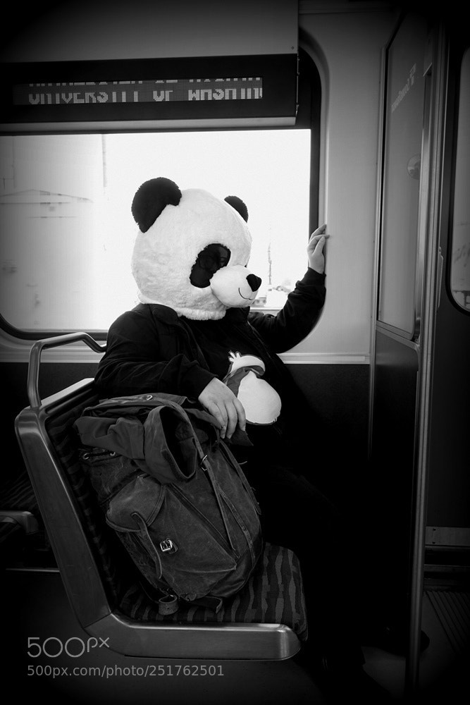 Sony Cyber-shot DSC-RX10 sample photo. Panda on a train photography