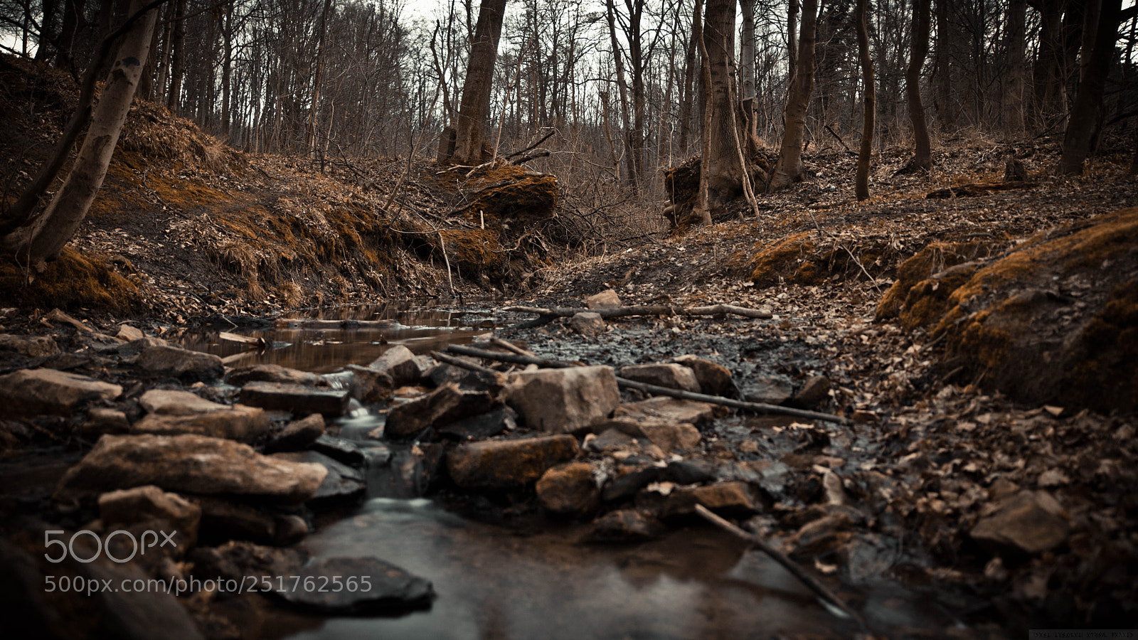 Canon EOS 6D Mark II sample photo. Img photography