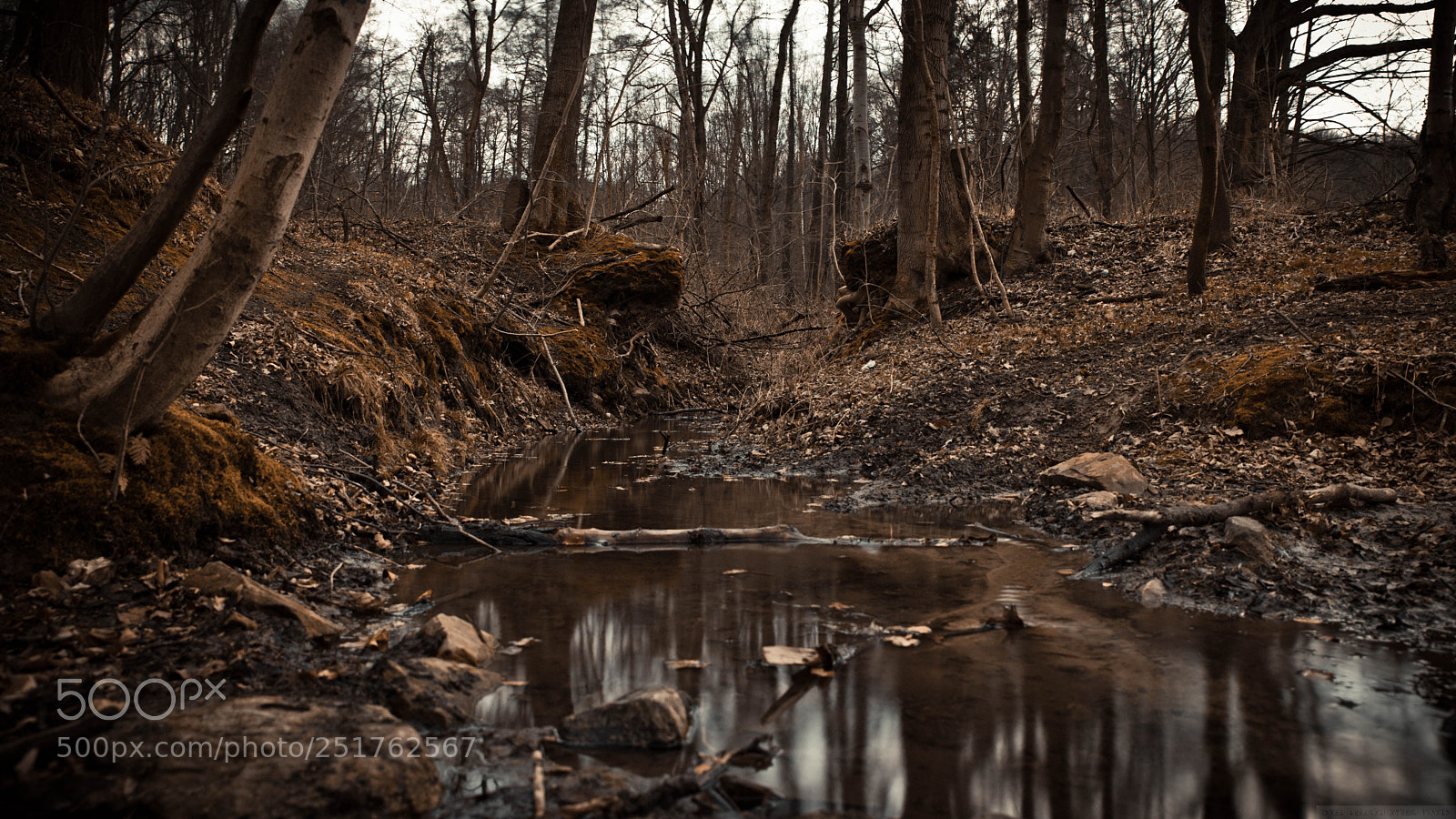 Canon EOS 6D Mark II sample photo. Img photography