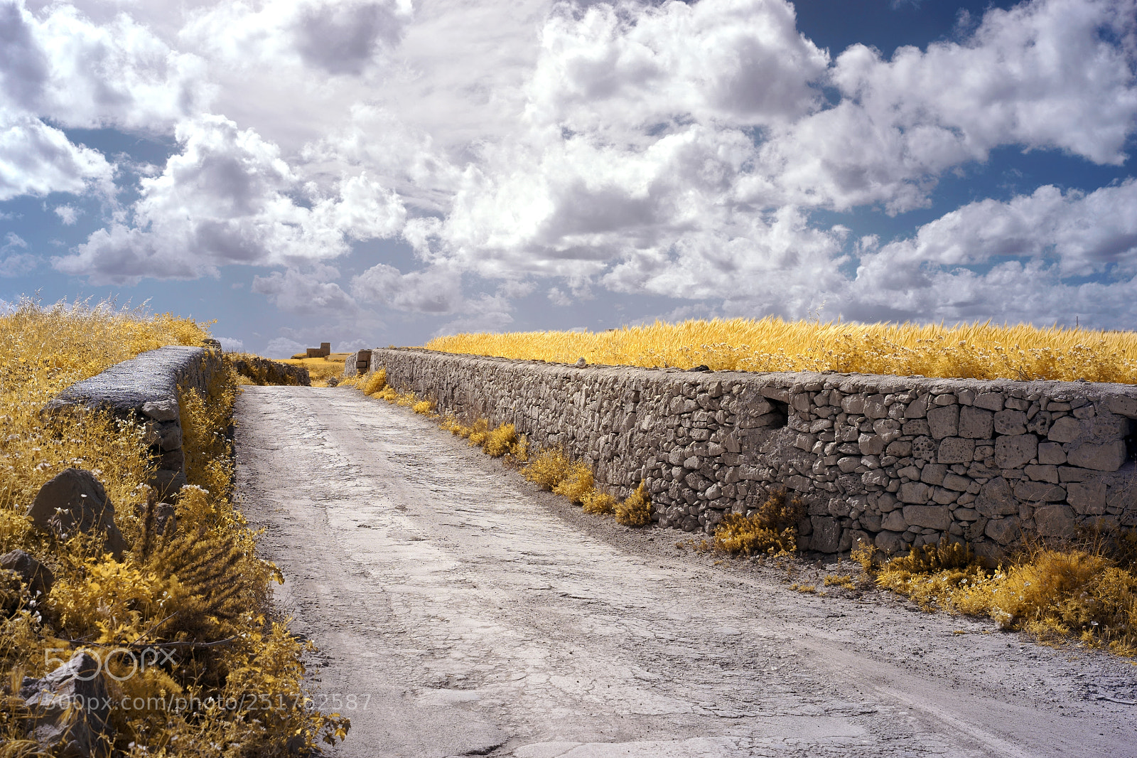 Sony a7 sample photo. Gozo infrared photography
