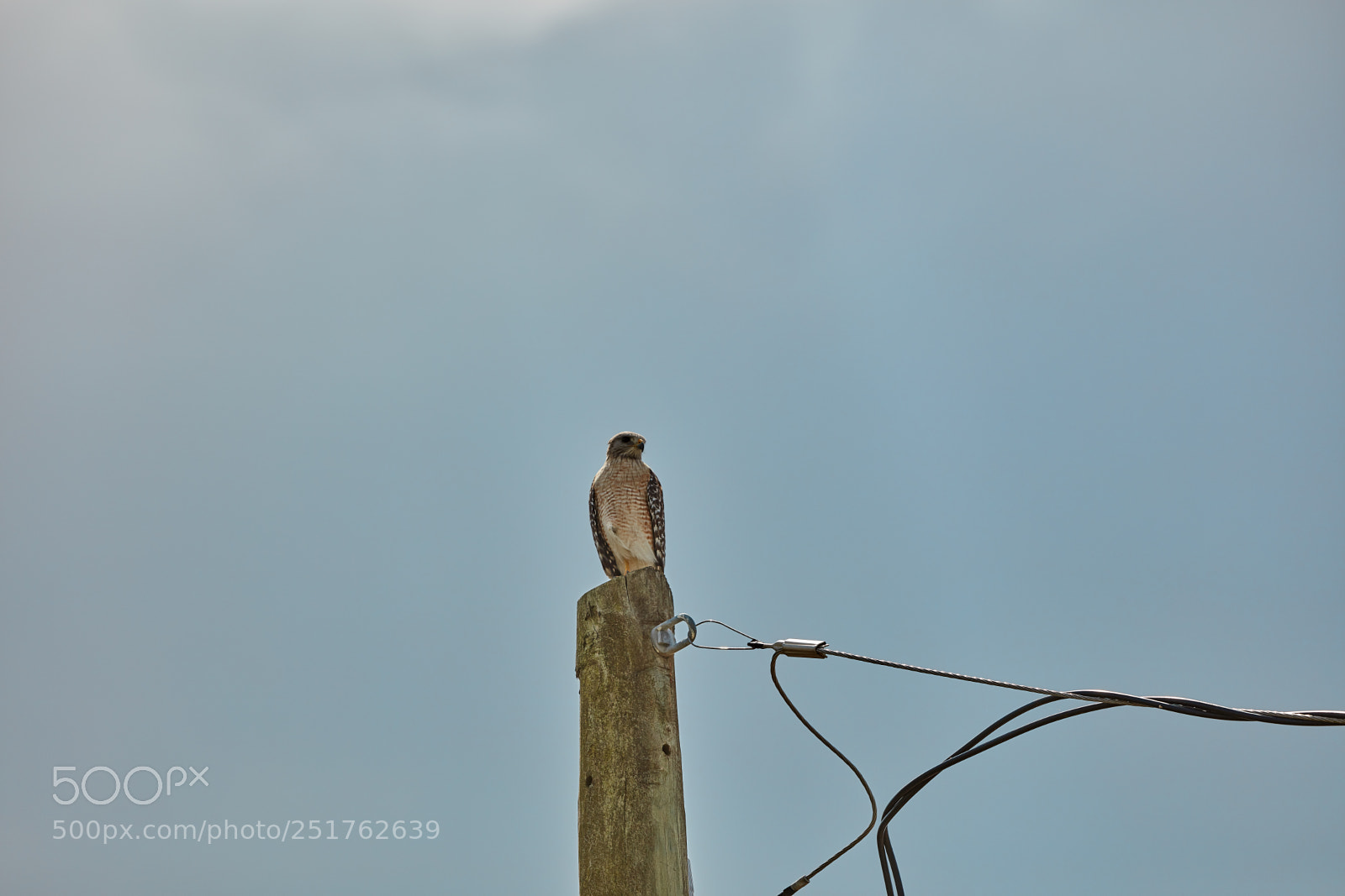 Canon EOS 5DS R sample photo. 04-01-18-0010257.jpg photography