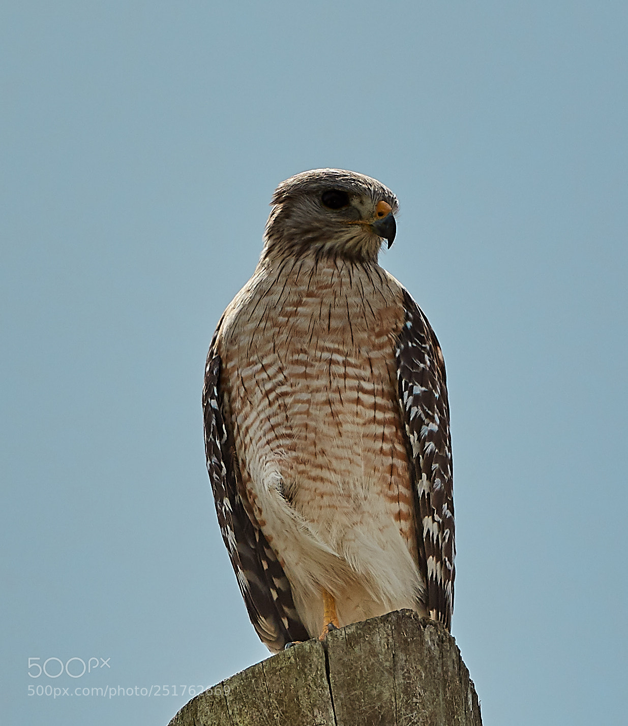 Canon EOS 5DS R sample photo. 04-01-18-0010254.jpg photography