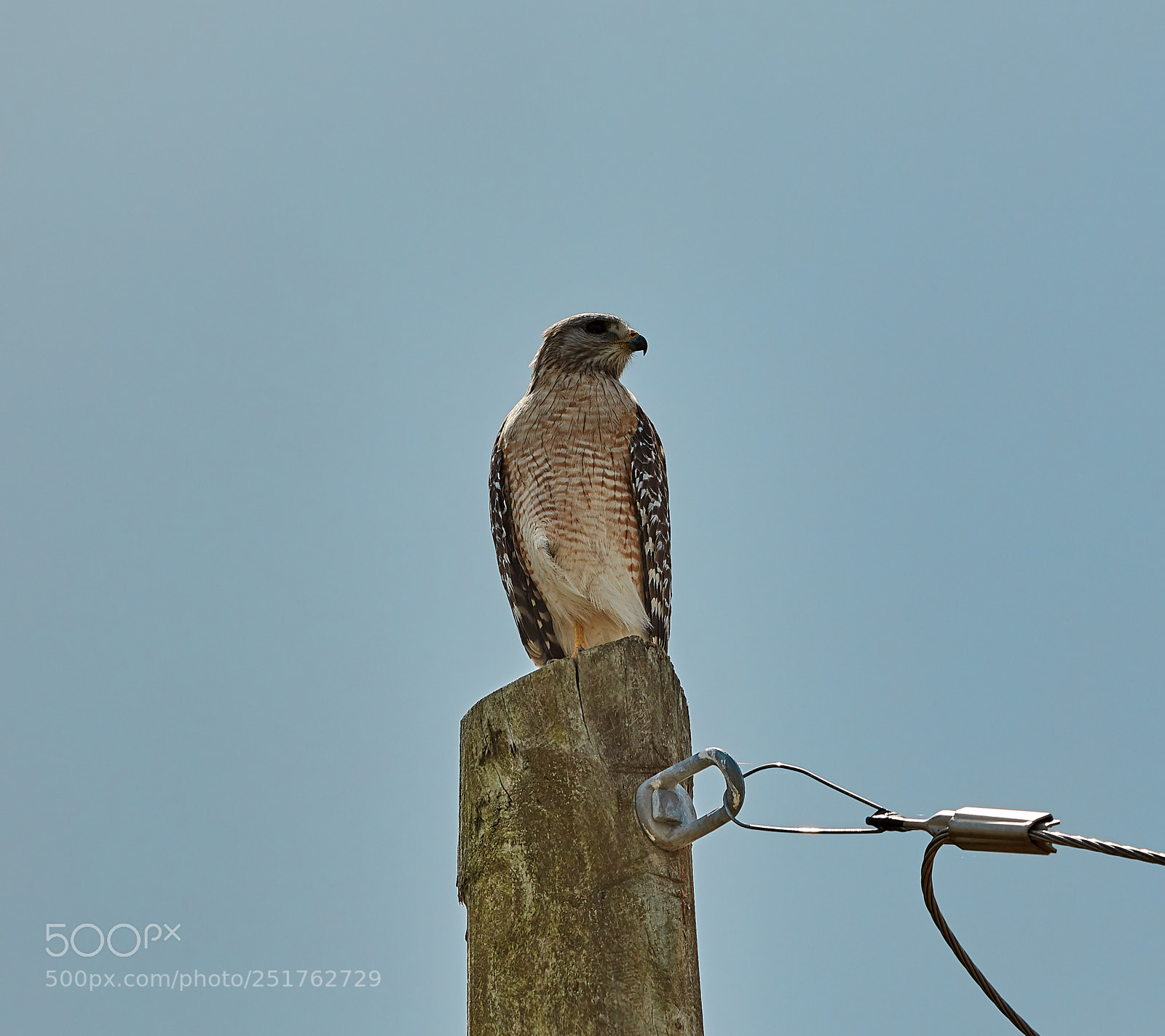 Canon EOS 5DS R sample photo. 04-01-18-0010251.jpg photography