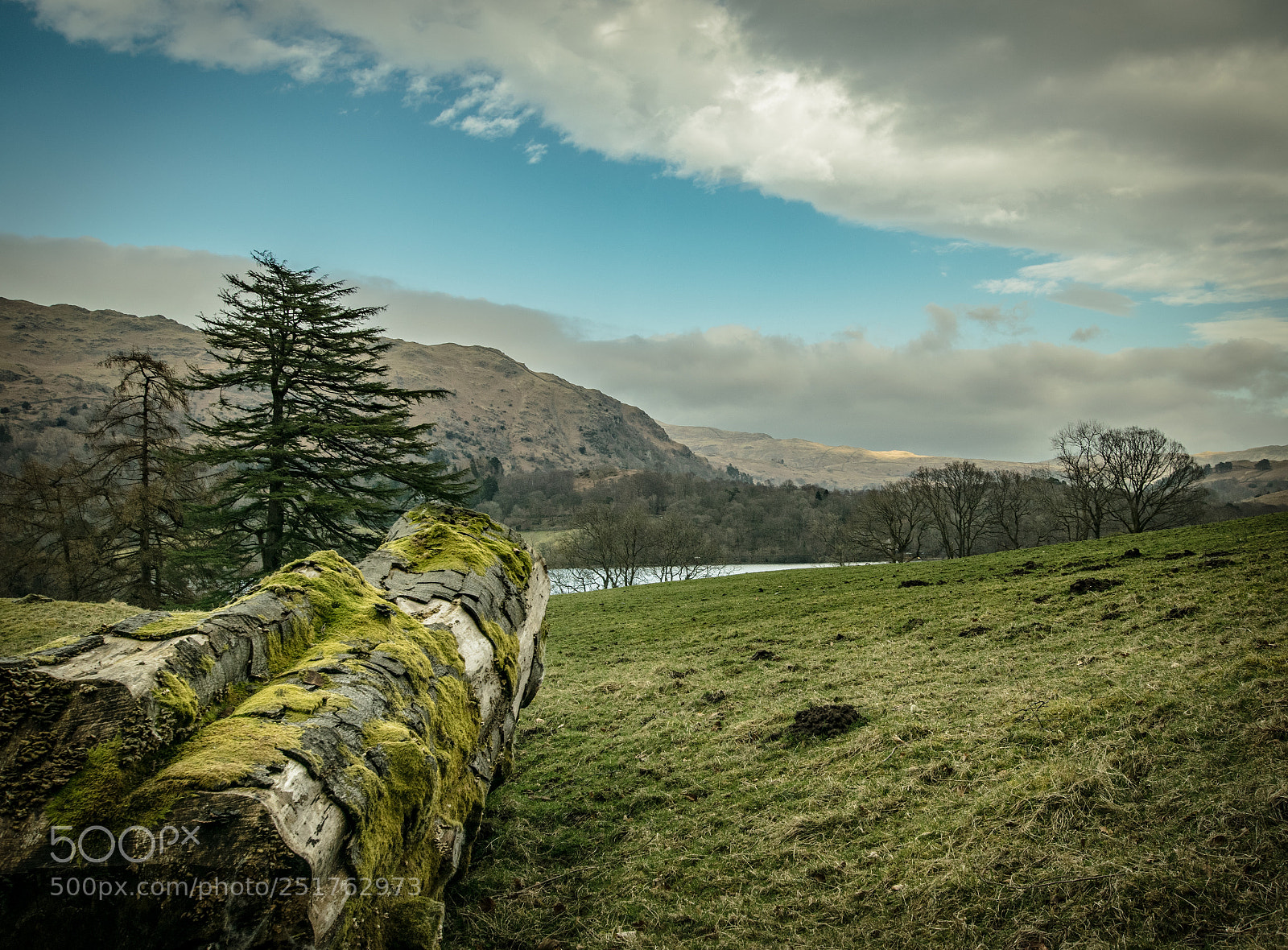 Nikon D3300 sample photo. Grasmere photography