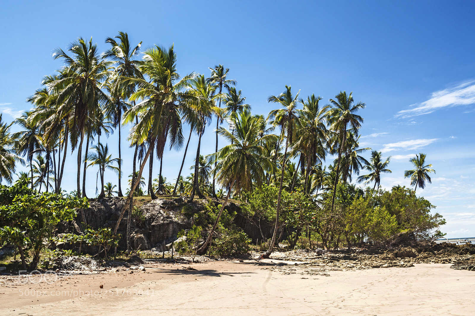 Canon EOS 5D Mark II sample photo. Morrosp, palmeras, isla photography