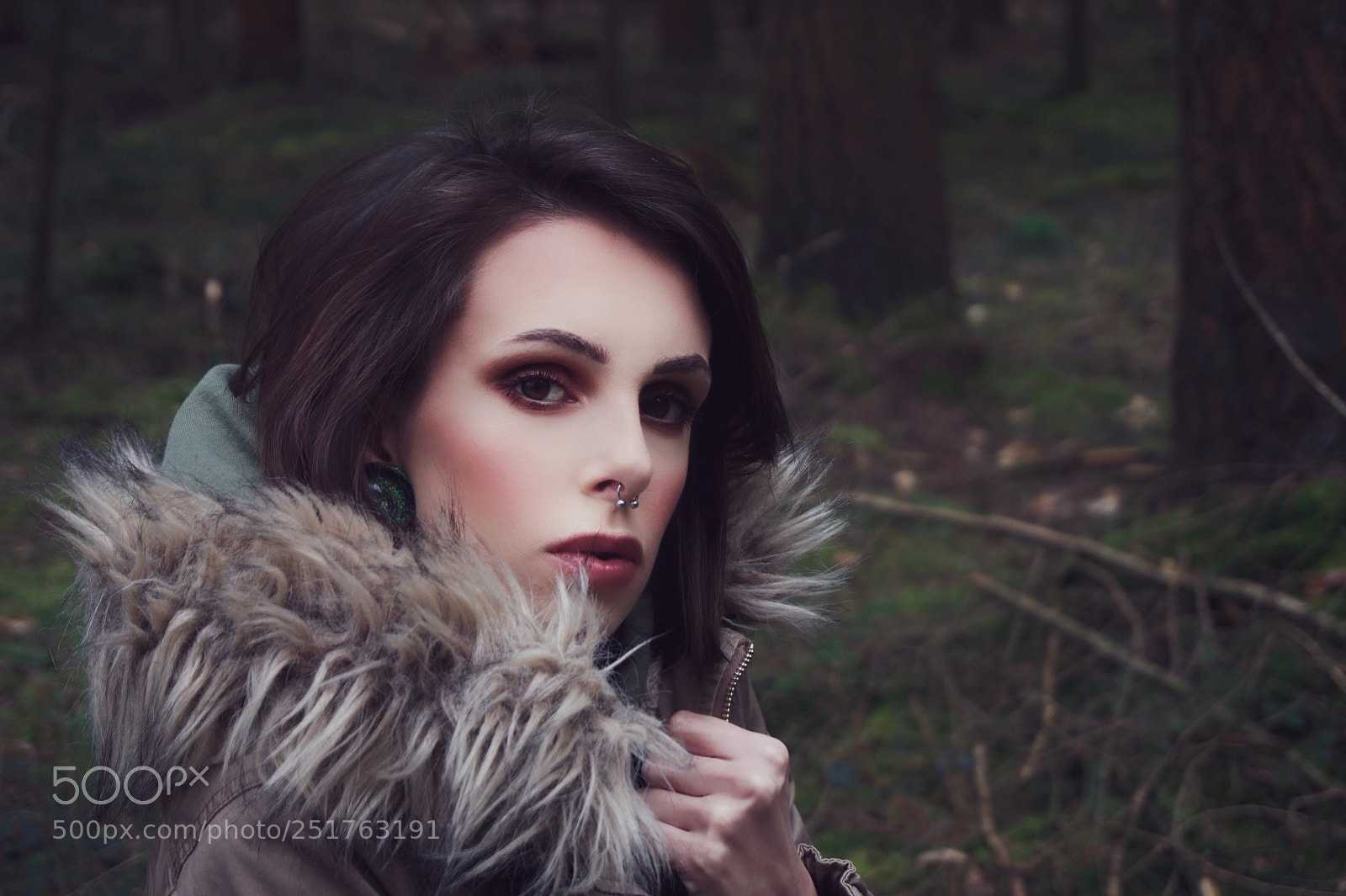 Sony Alpha a5000 (ILCE 5000) sample photo. Forest photography