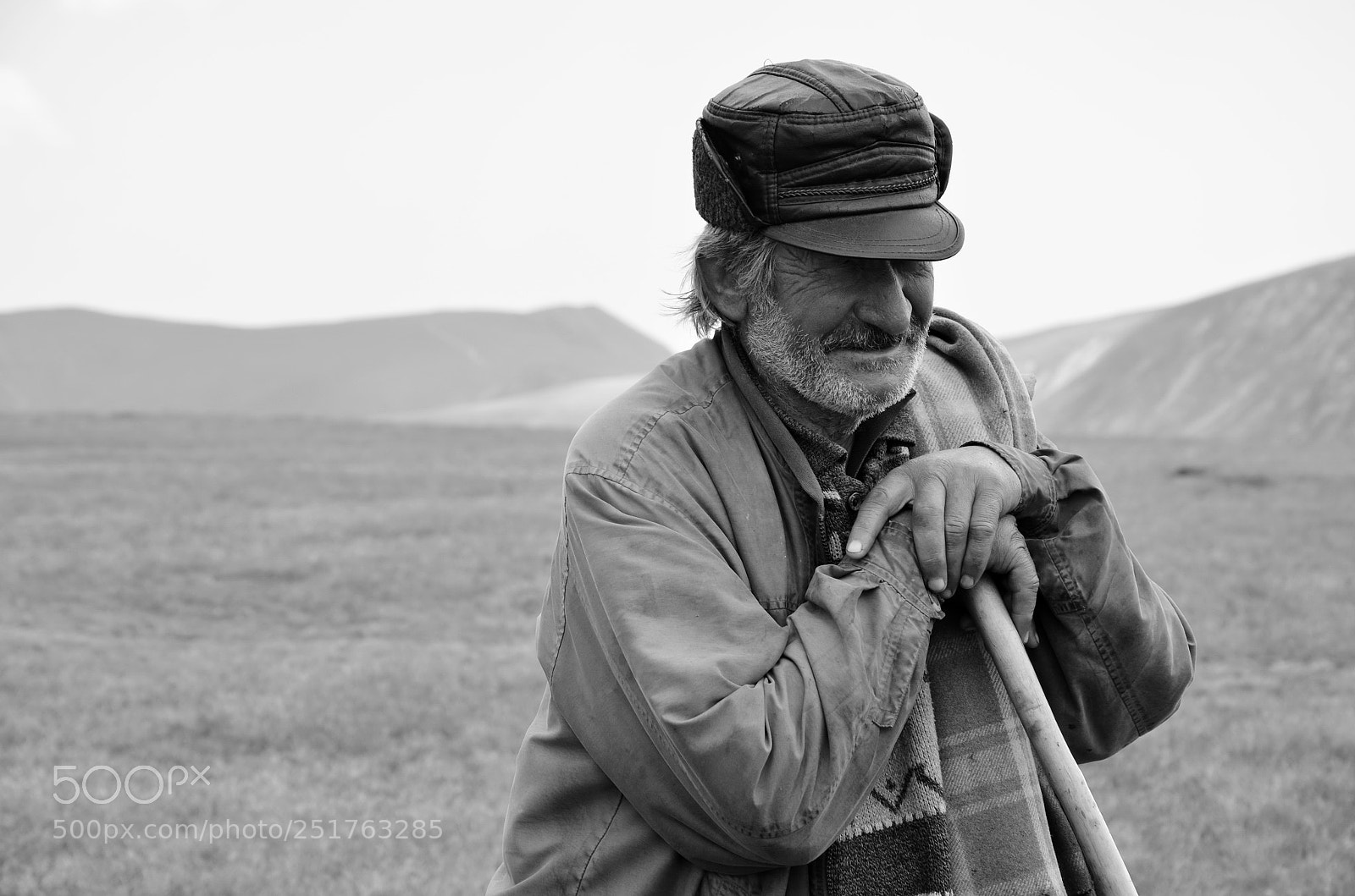 Nikon D5100 sample photo. Sheperd portrait photography