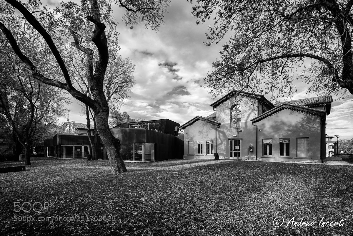 Nikon D810 sample photo. Library in the park photography