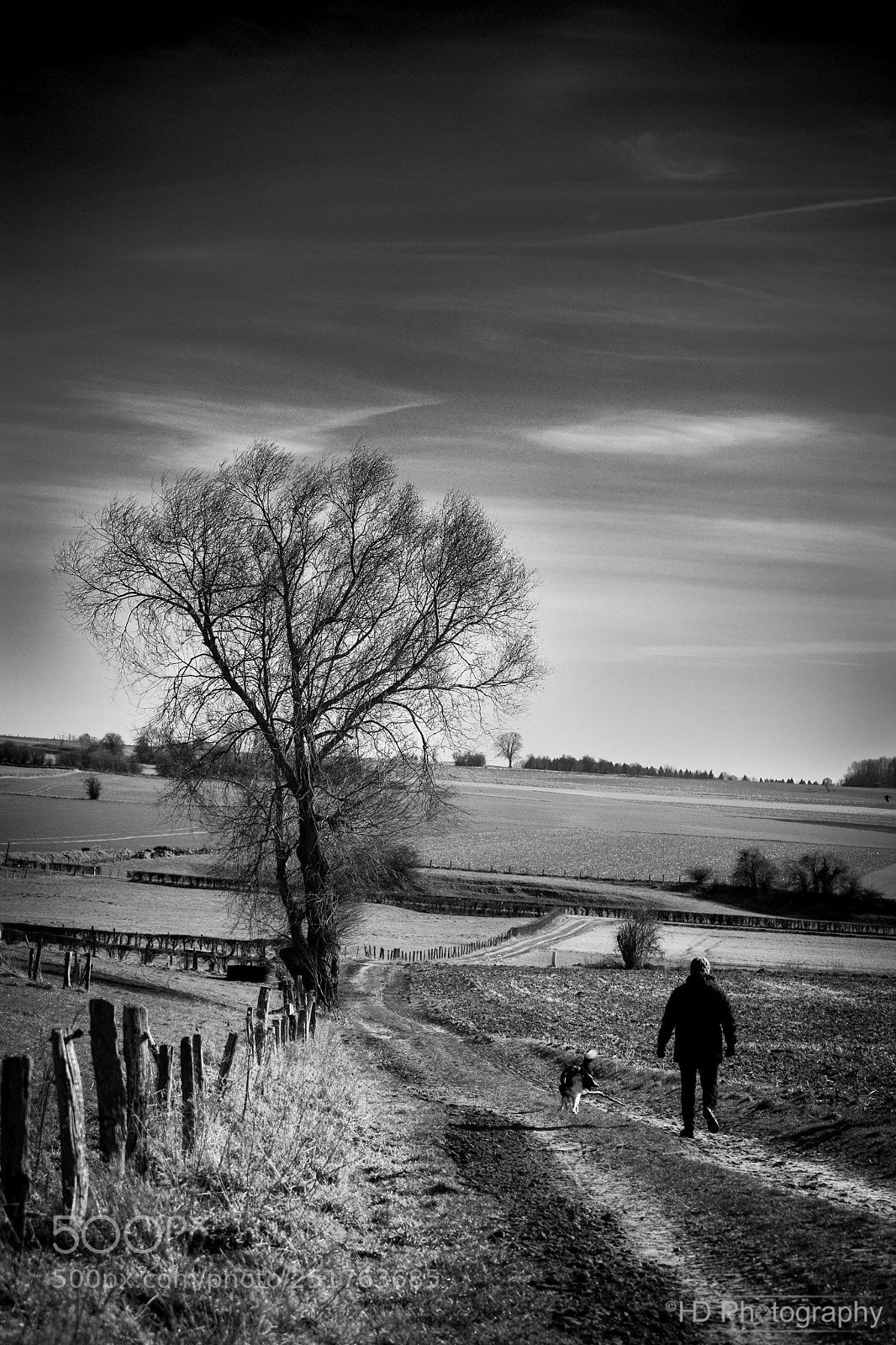 Nikon D7100 sample photo. Walking the dog photography