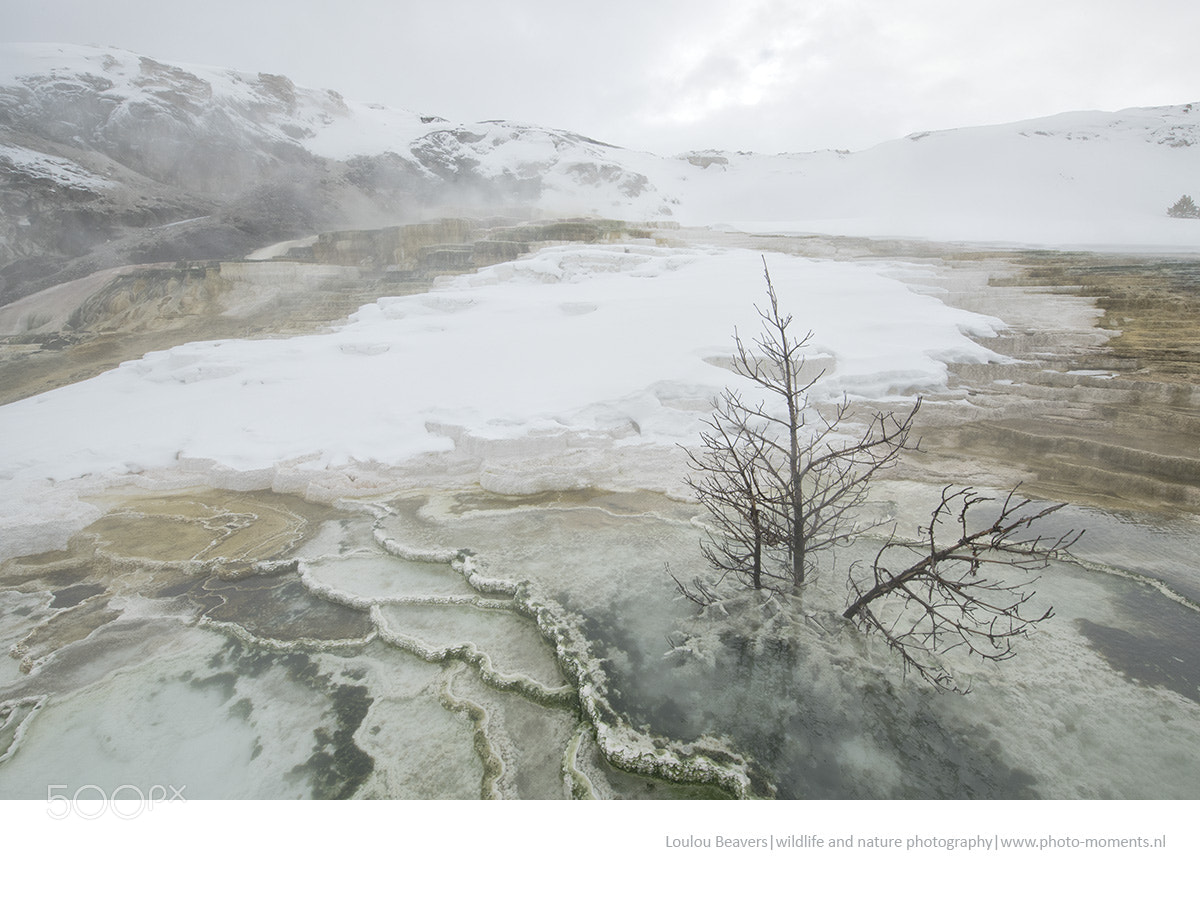 Nikon D850 sample photo. Mammoth hot springs photography
