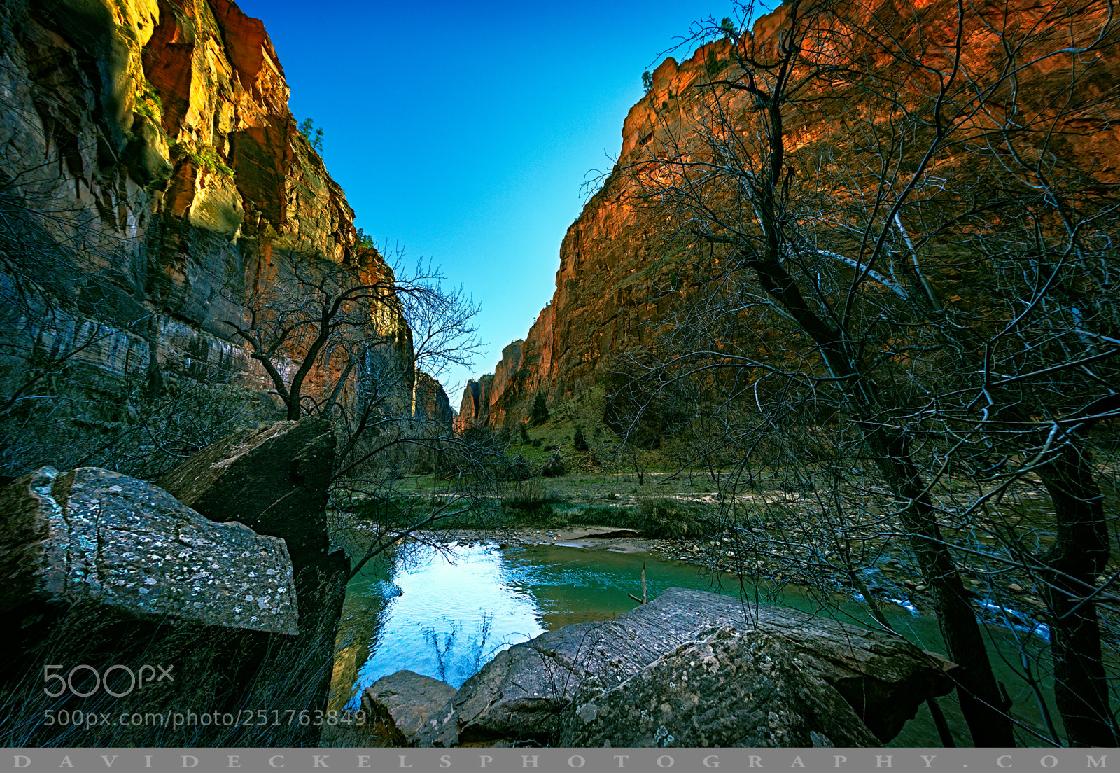Nikon D800E sample photo. Zion calling photography