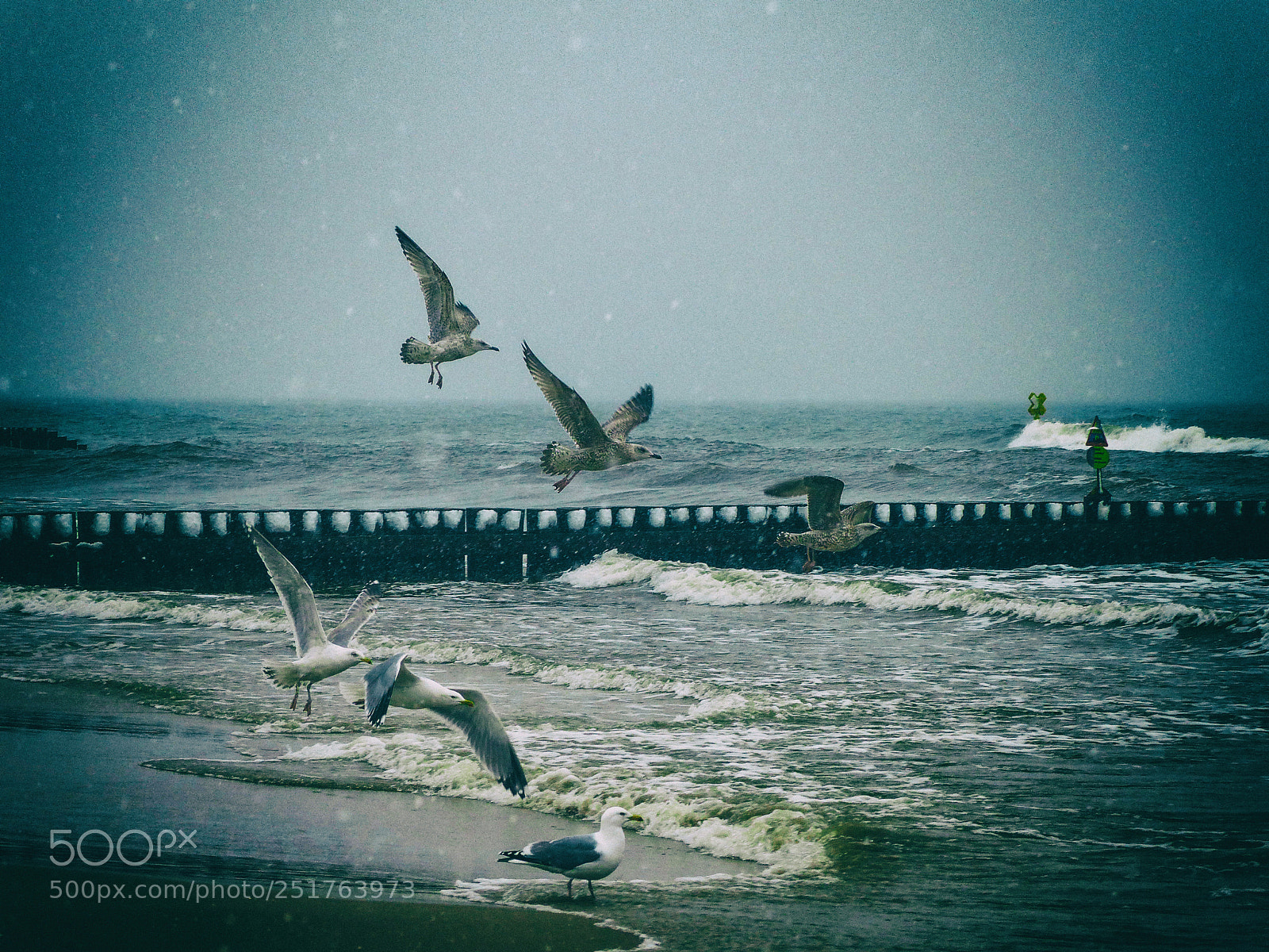 Panasonic Lumix DMC-FZ200 sample photo. Winter an der ostsee photography