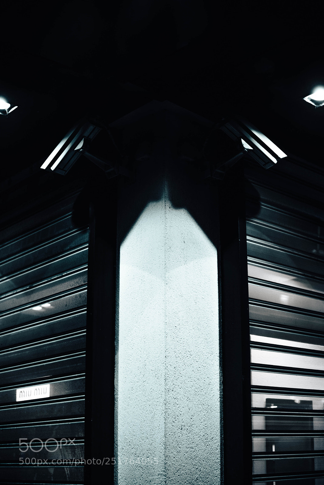 Nikon D610 sample photo. Street photo photography