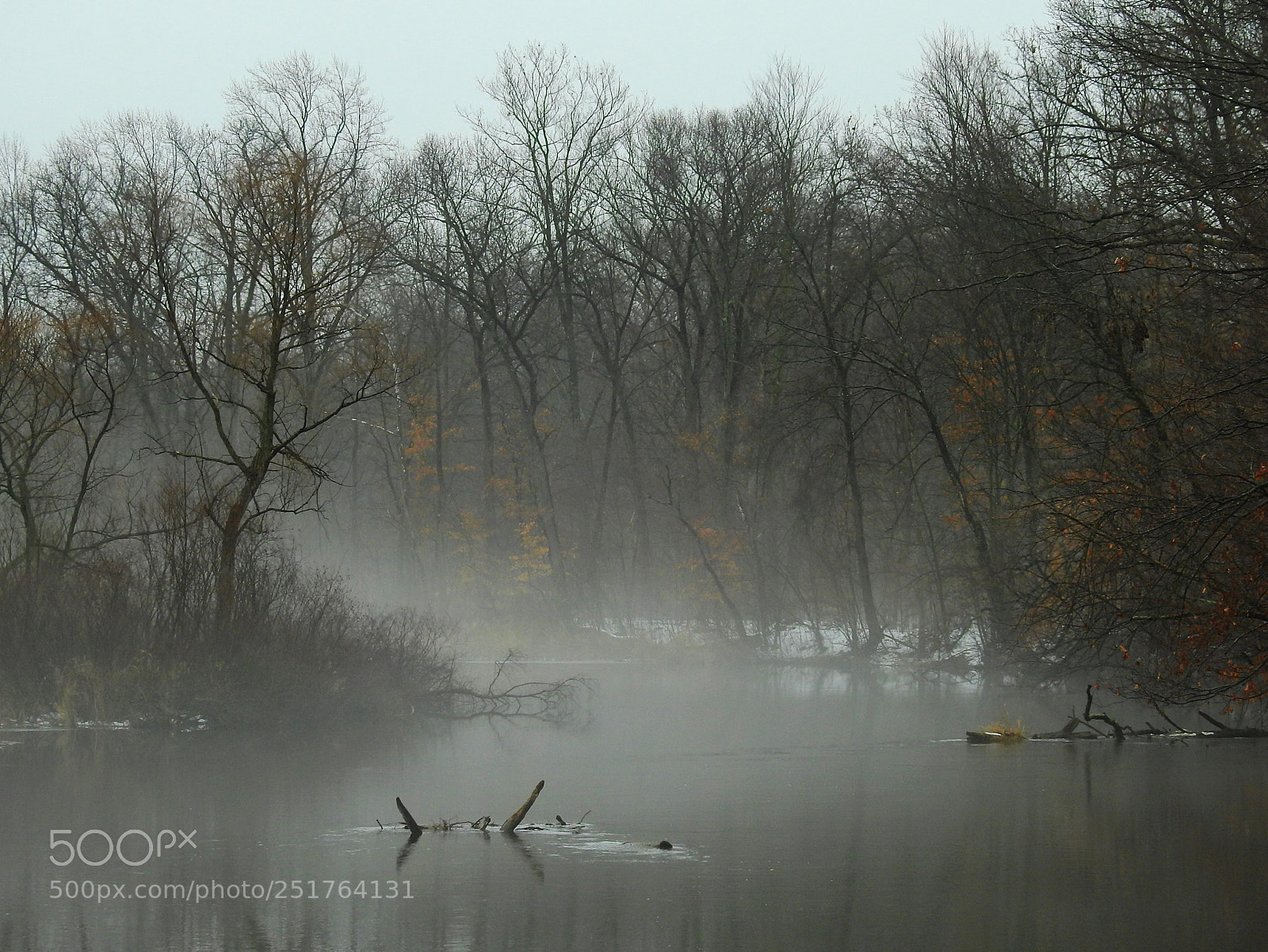 Nikon Coolpix P900 sample photo. Pigeon river fog photography
