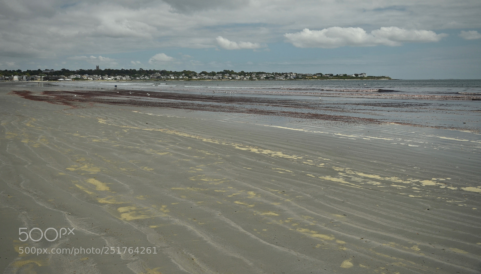 Nikon D7000 sample photo. Newport photography