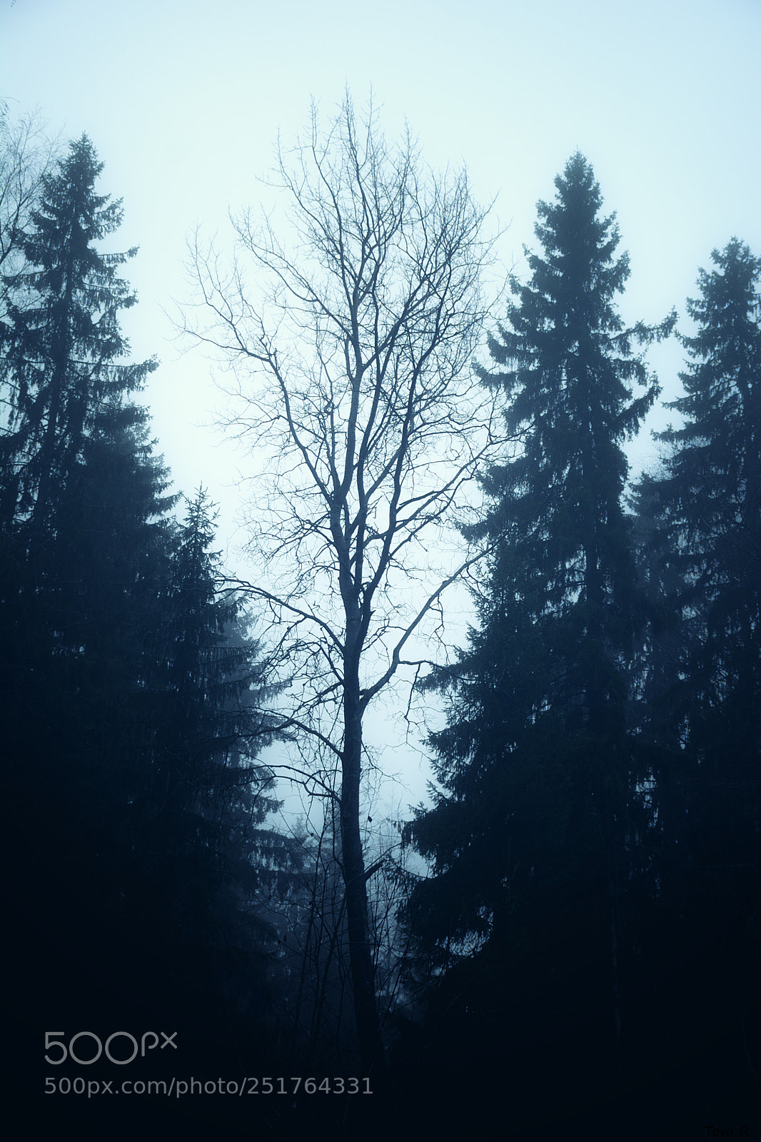 Nikon D7100 sample photo. Daytime misery i photography