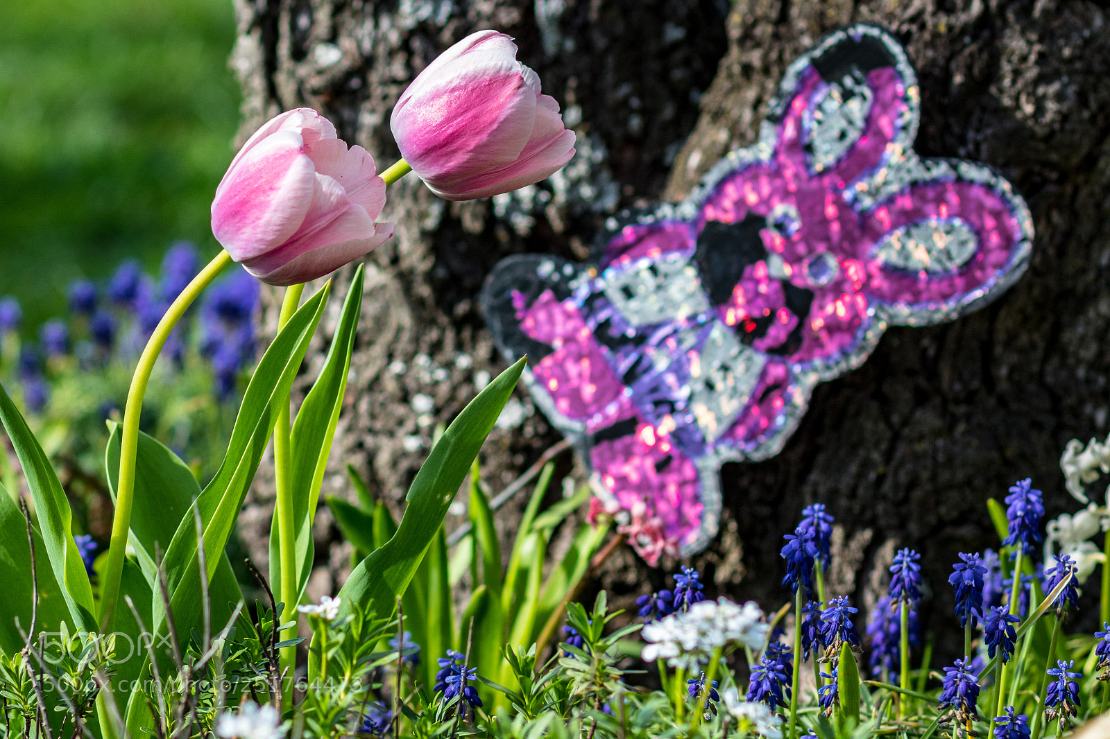 Canon EOS 750D (EOS Rebel T6i / EOS Kiss X8i) sample photo. Windblown easter garden photography