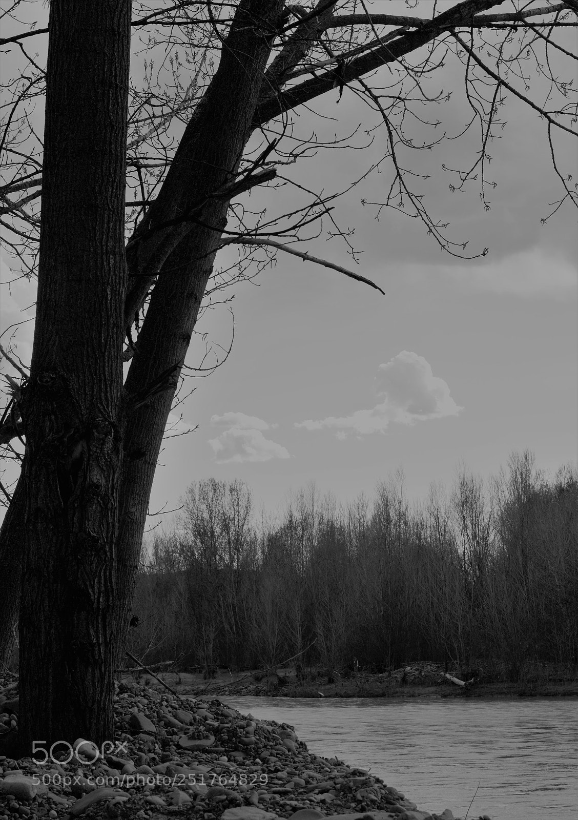 Canon EOS 600D (Rebel EOS T3i / EOS Kiss X5) sample photo. Slow flowing photography