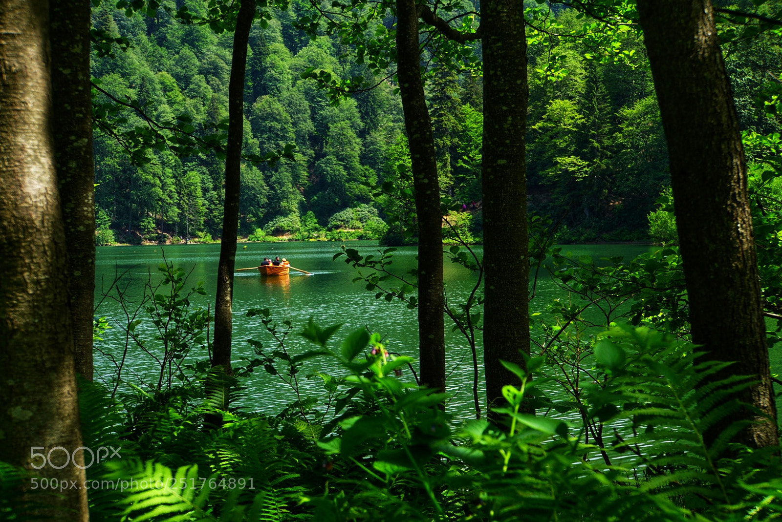 Sony a6000 sample photo. Untitled photography