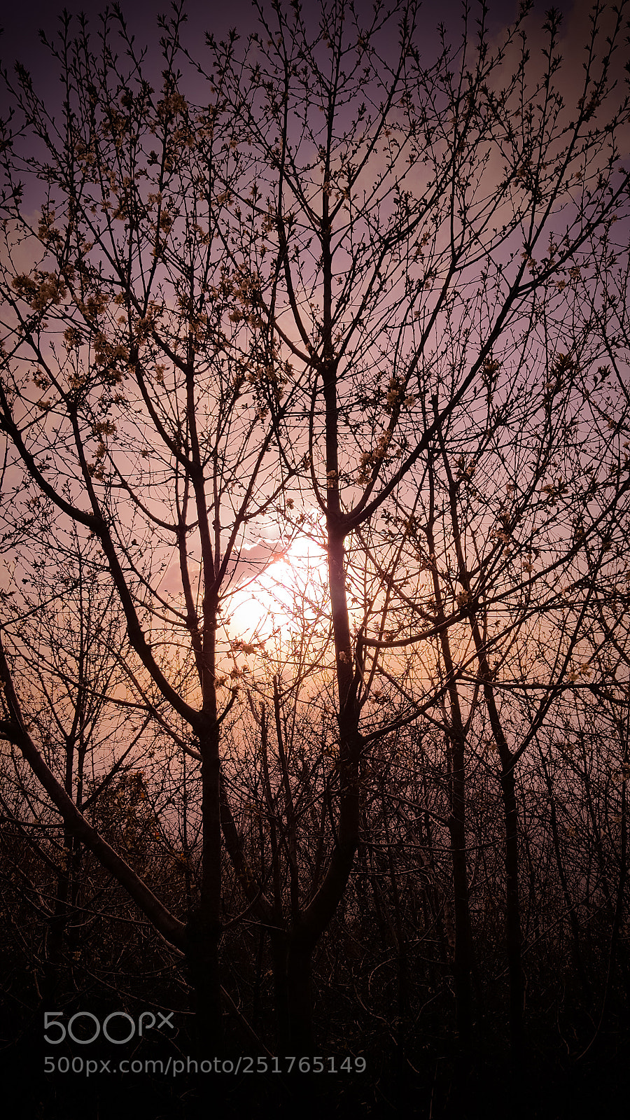 Samsung Galaxy S6 sample photo. Des rayons de soleil photography