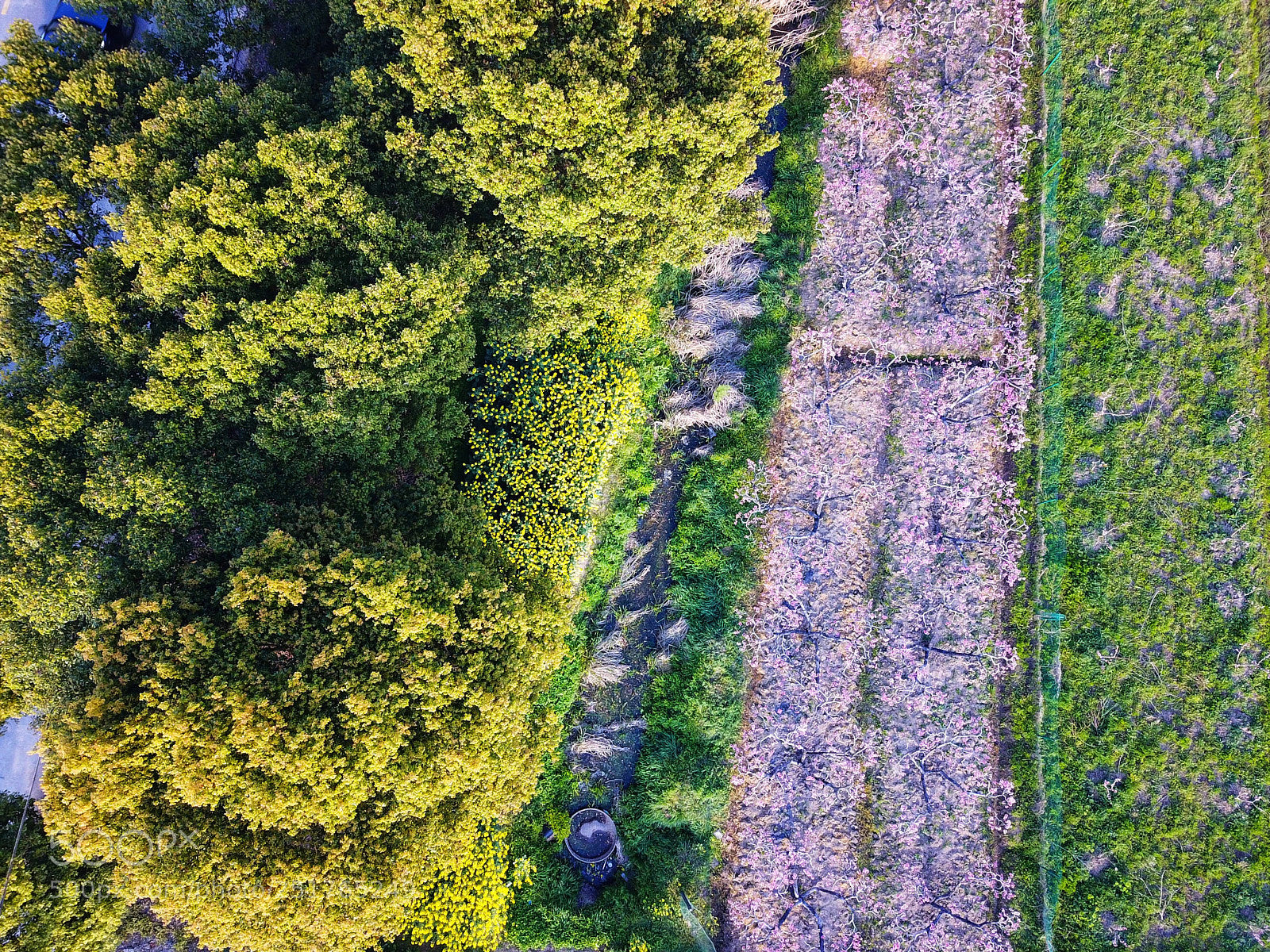 DJI FC220 sample photo. Untitled photography