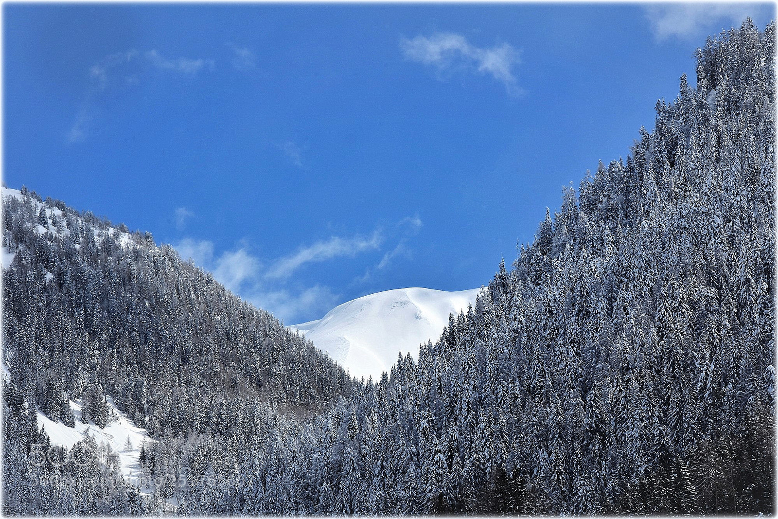 Nikon D7200 sample photo. "white land" photography