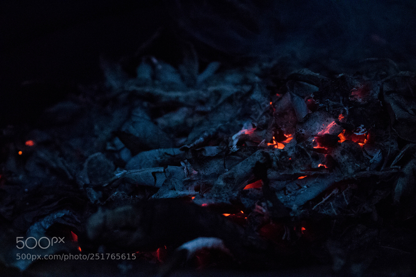 Canon EOS 750D (EOS Rebel T6i / EOS Kiss X8i) sample photo. Fire ashes photography