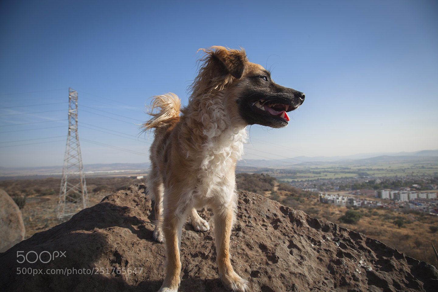 Canon EOS 5D Mark II sample photo. Saya in the hills photography