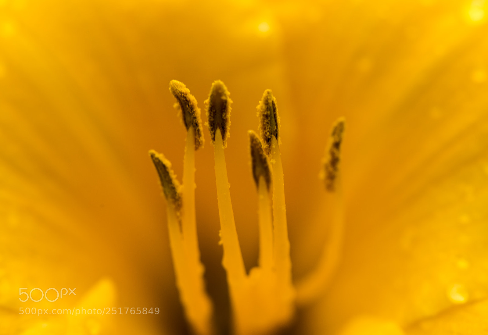 Nikon D810 sample photo. Have a wonderful sunday photography