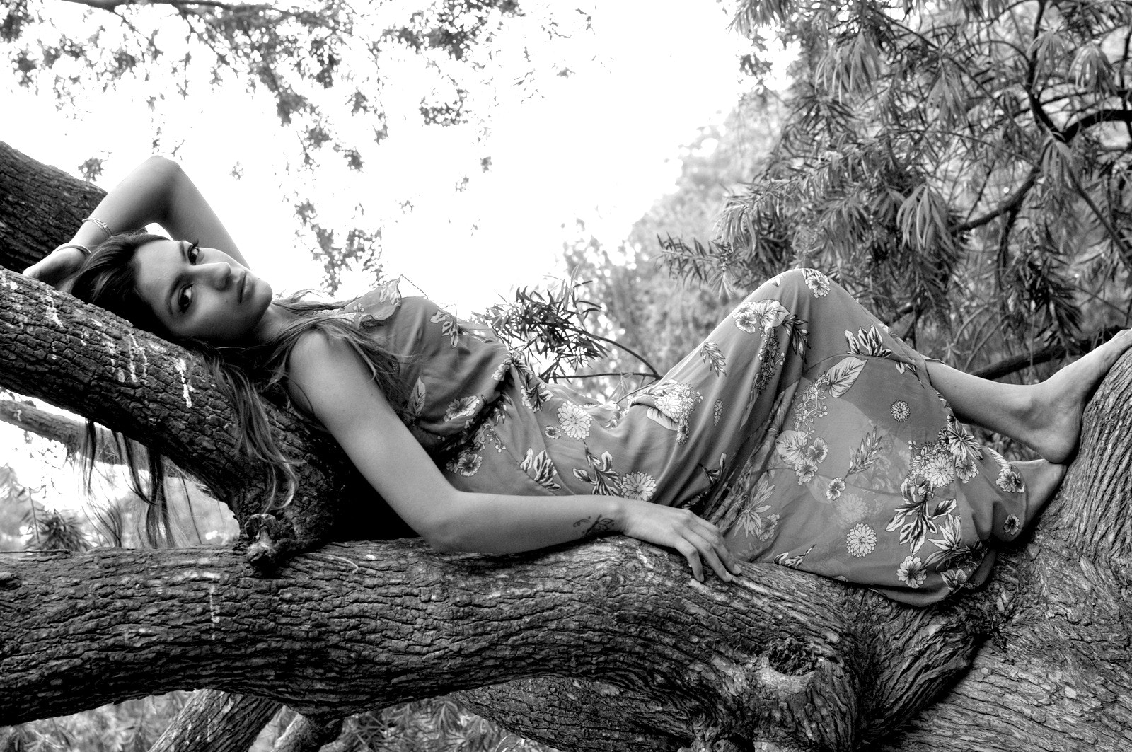 Nikon D90 sample photo. Tree angel photography