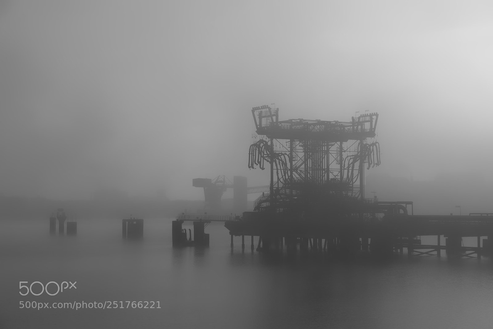 Nikon D800 sample photo. Misty morning photography