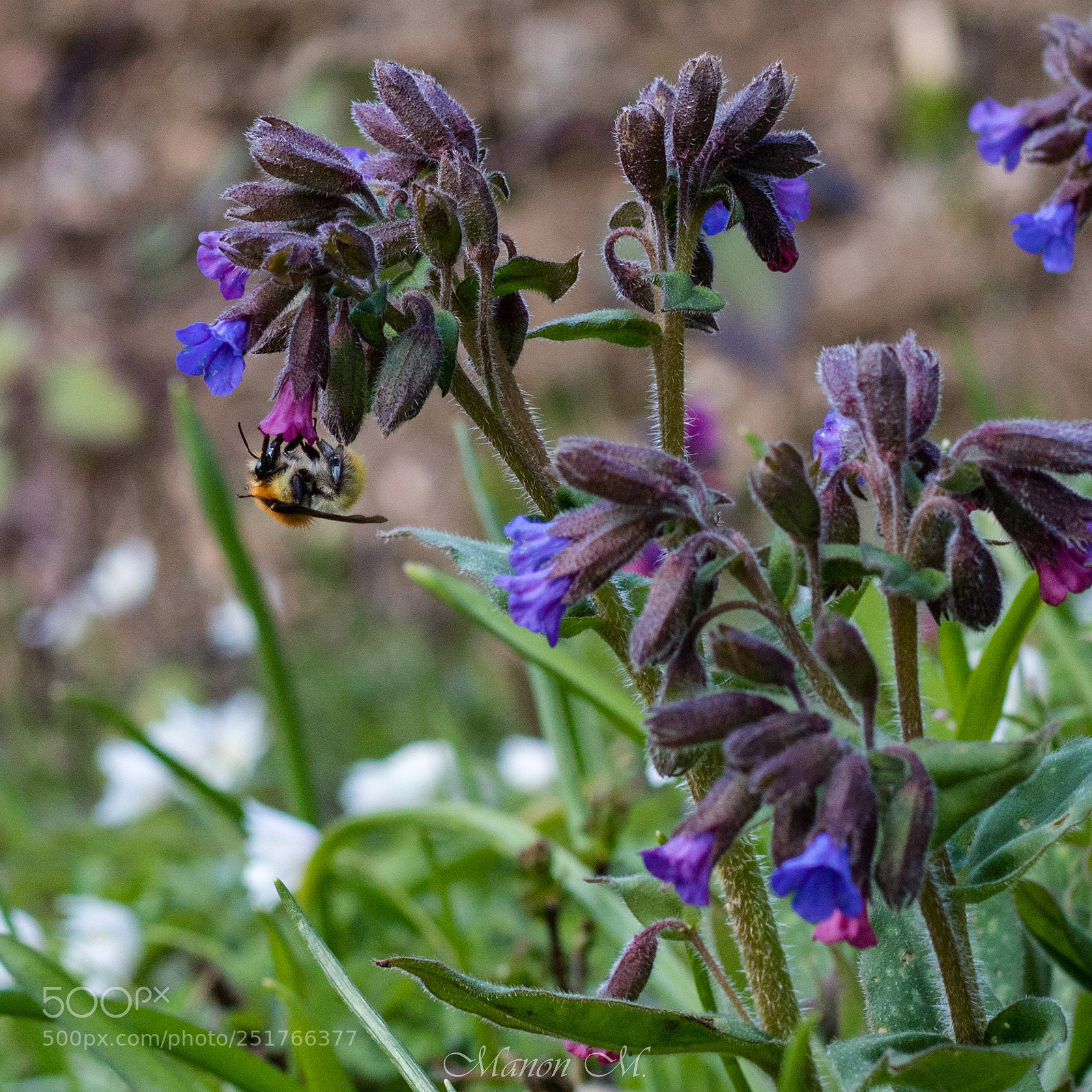 Canon EOS 750D (EOS Rebel T6i / EOS Kiss X8i) sample photo. Mini rencontre photography