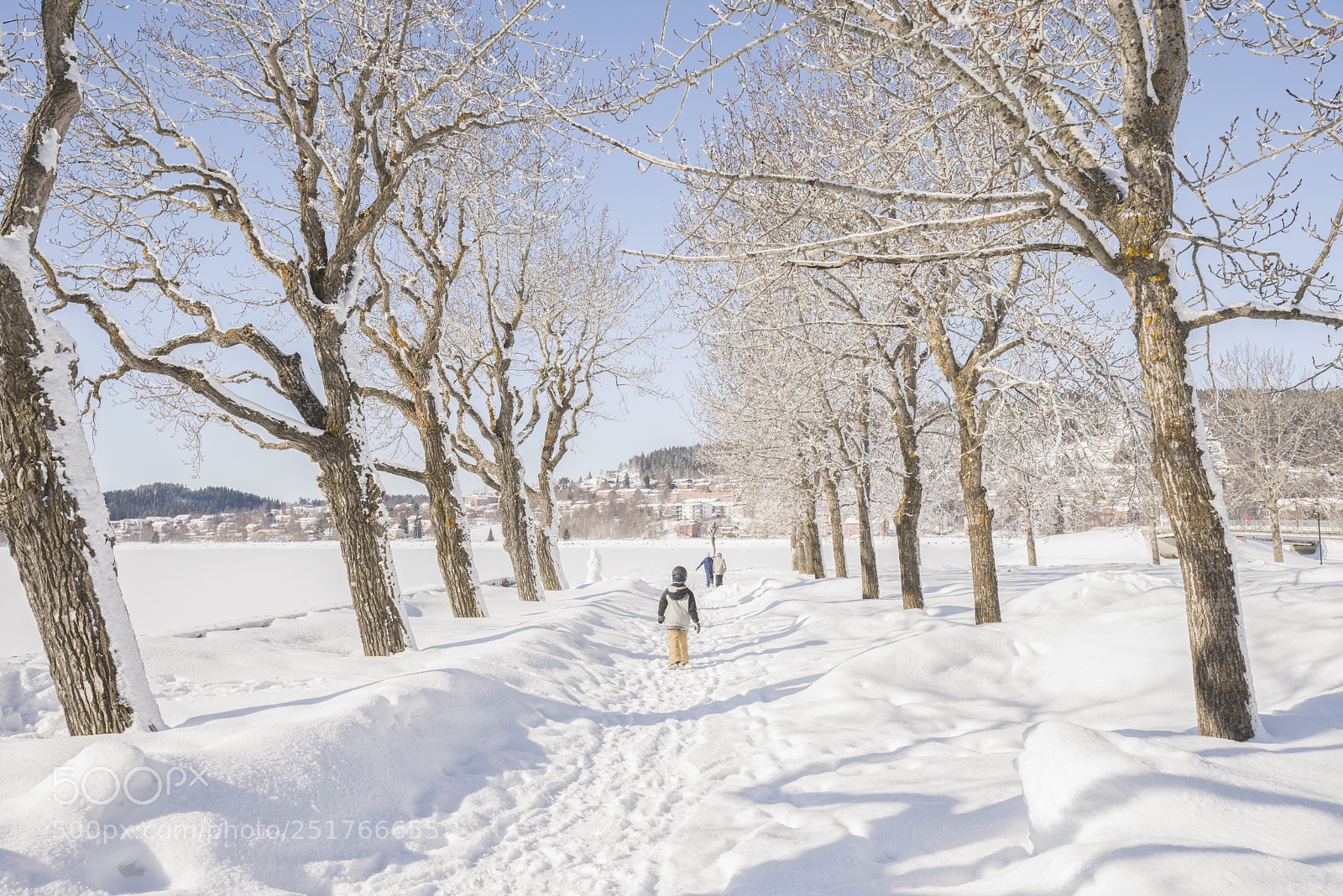 Nikon D810 sample photo. Children walking between trees photography