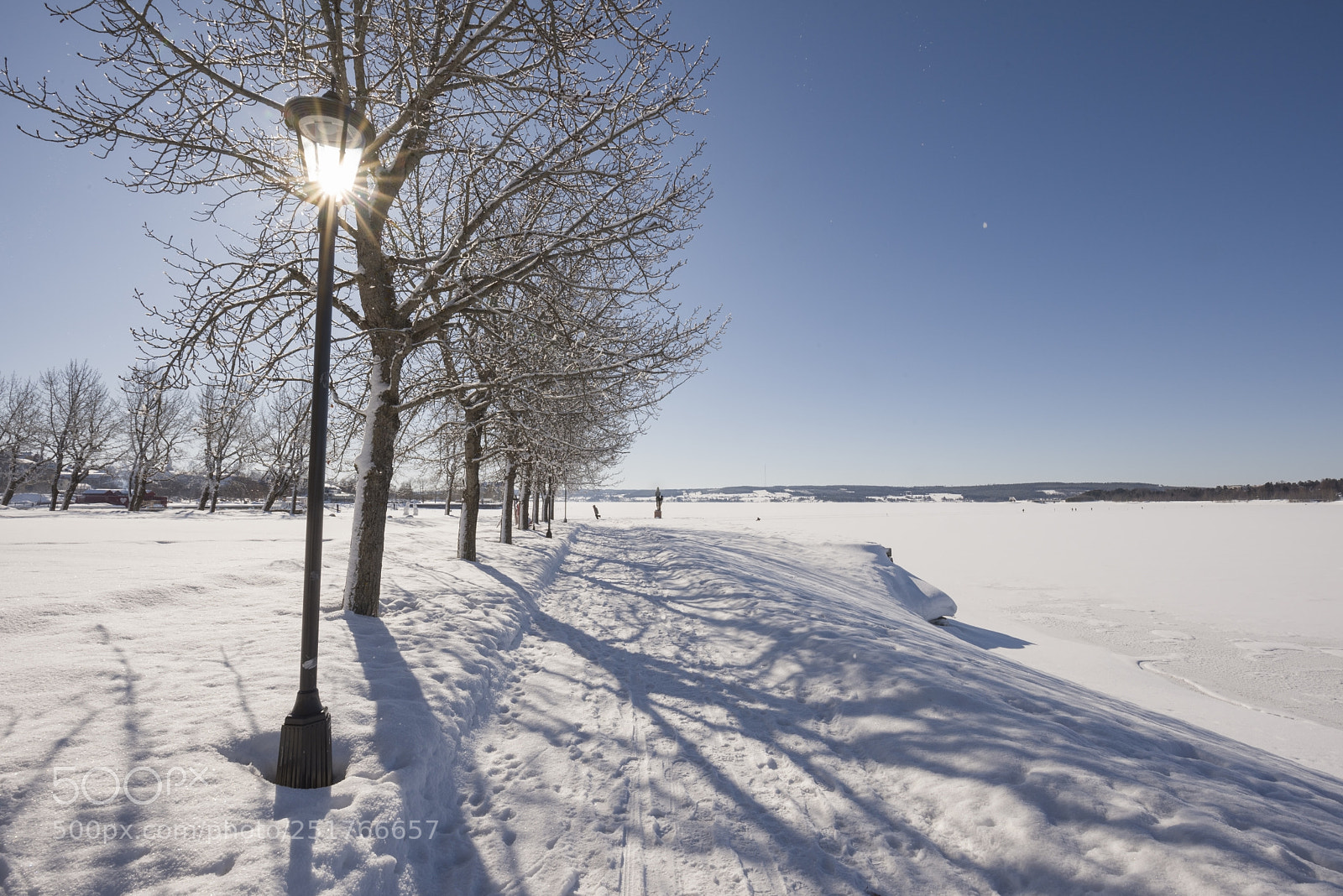 Nikon D810 sample photo. Lantern with sun flare photography