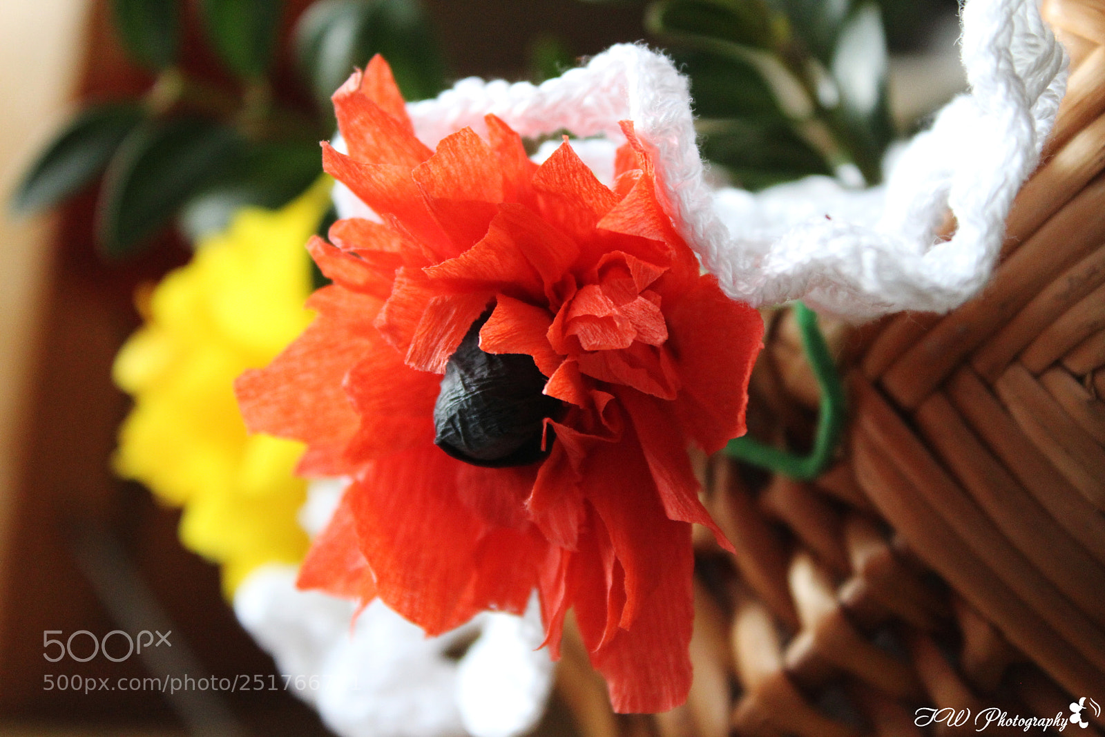 Canon EOS 1300D (EOS Rebel T6 / EOS Kiss X80) sample photo. Paper flower photography
